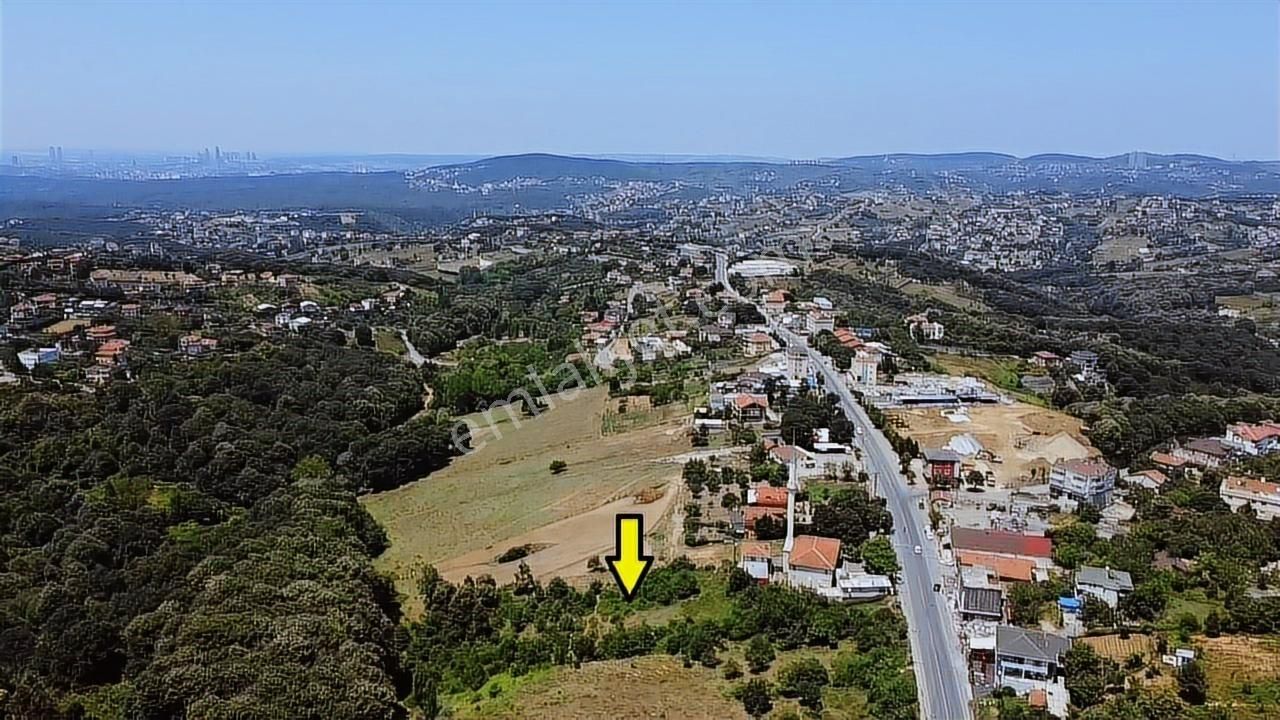 Baklacı'da Ormana Komşu Doğa Manzaralı 3609m2 Villa İmarlı Arsa - Görsel 10