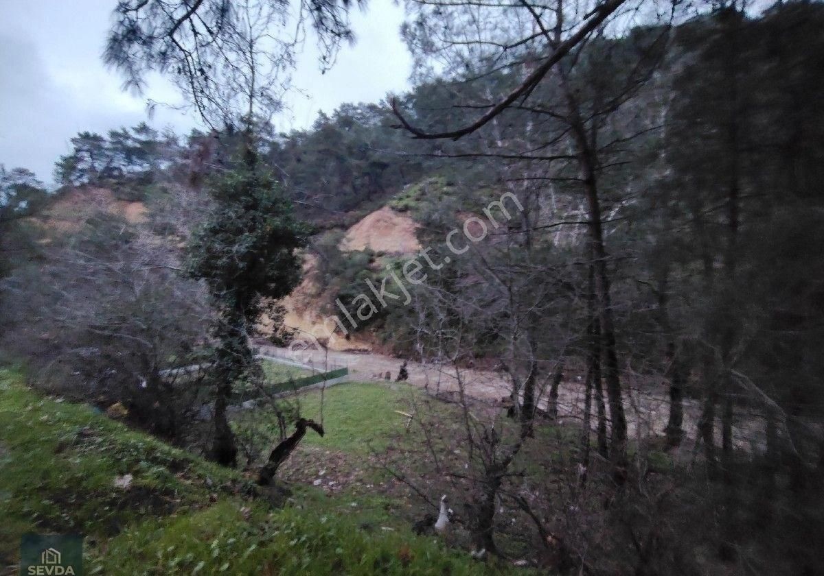 Havran Köylüce De Satılık Hobi Bahçesi - Görsel 6