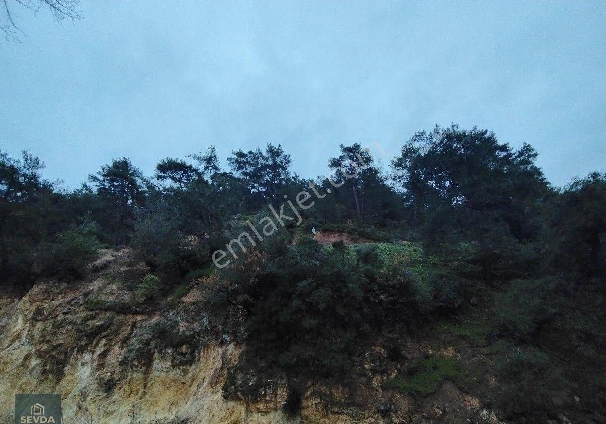 Havran Köylüce De Satılık Hobi Bahçesi - Görsel 26