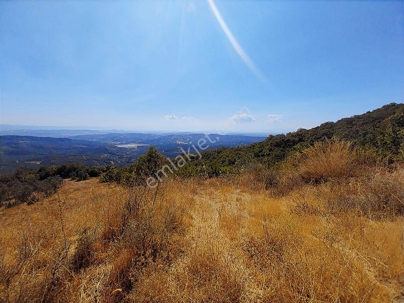 Mirzaoba Da Yatırımlık Takasa Açık 10.851 M2 Satılık Tarla - Görsel 3