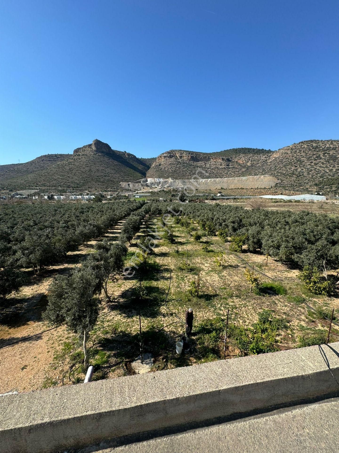 Mersin Sipahili`de Müstakil Satılık Tarla-bahçe - Görsel 3
