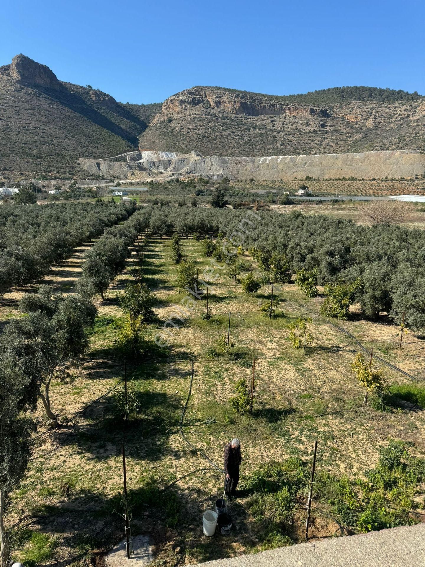 Mersin Sipahili`de Müstakil Satılık Tarla-bahçe - Görsel 2