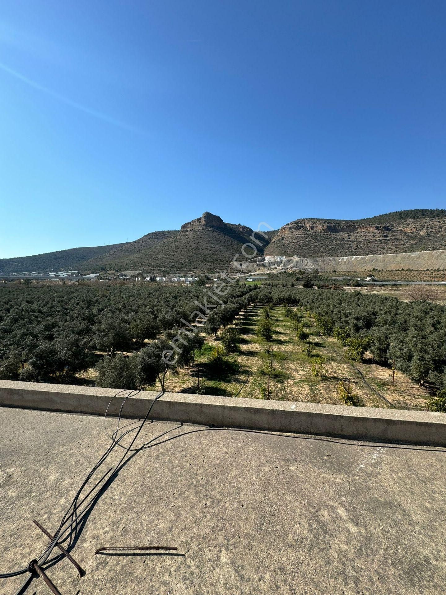 Mersin Sipahili`de Müstakil Satılık Tarla-bahçe - Görsel 8