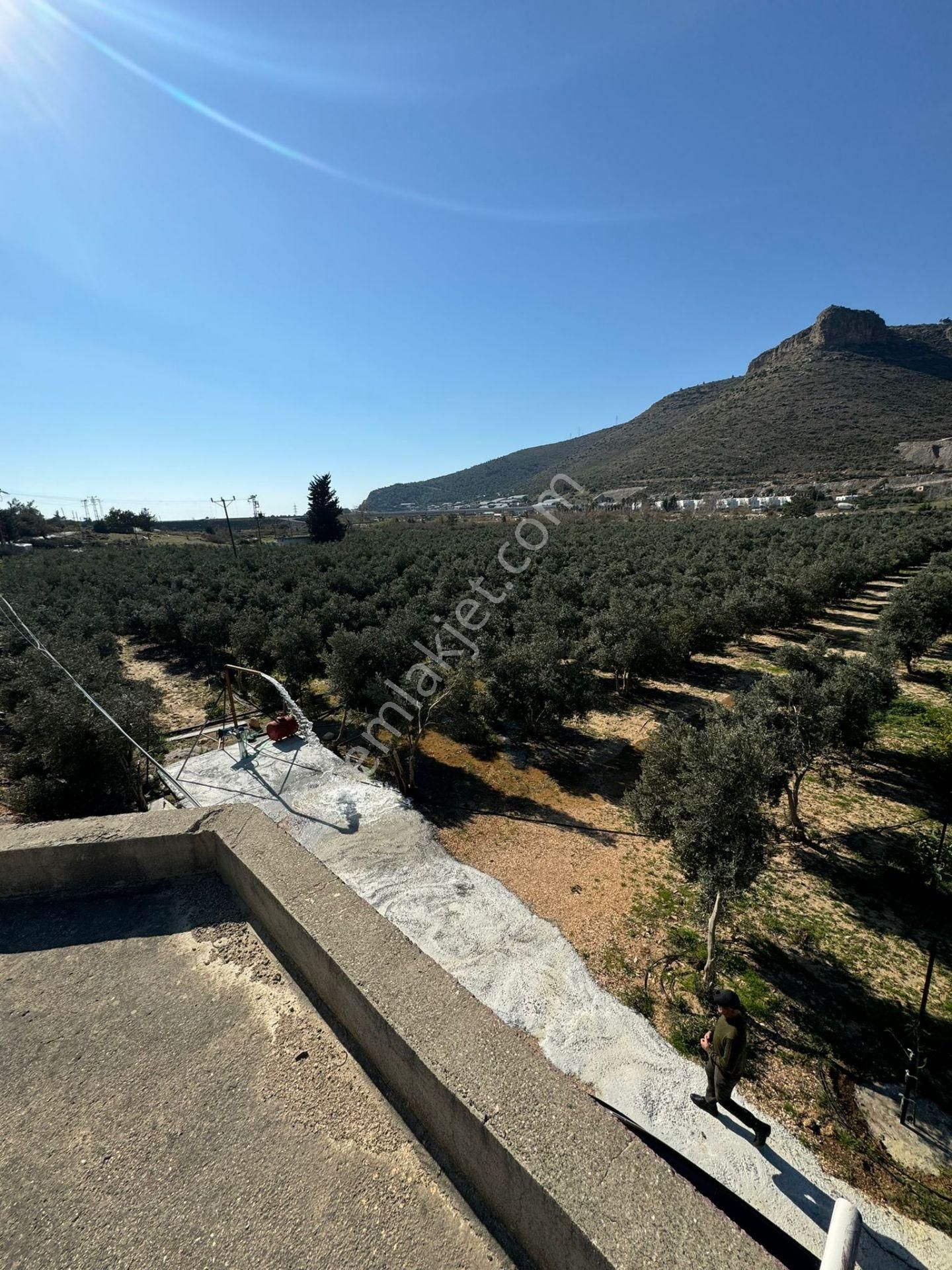 Mersin Sipahili`de Müstakil Satılık Tarla-bahçe - Görsel 5