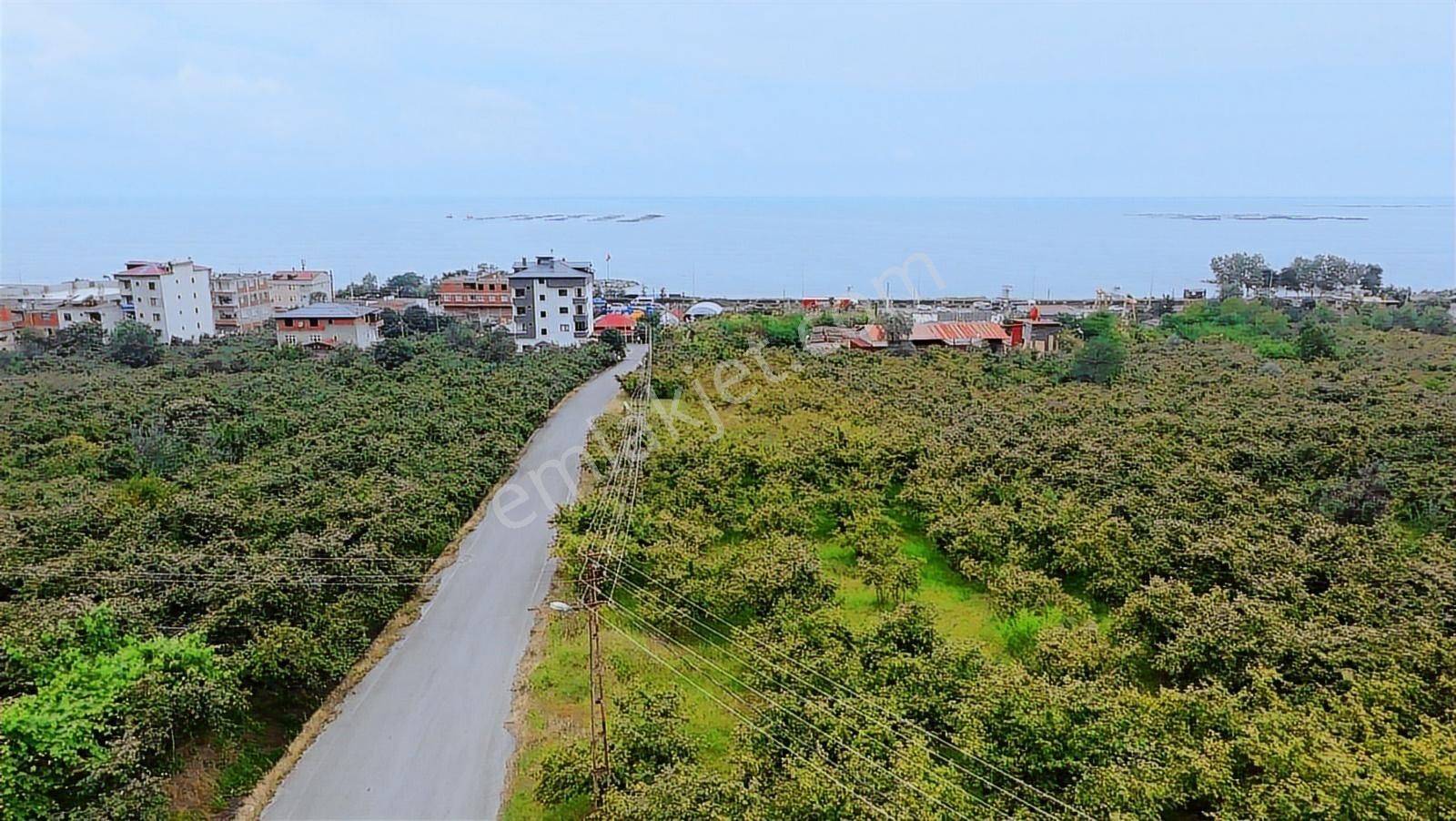 Güzelyalı'da Sahil Yoluna Yakın Yola Cepheli 3850m2 Satılık Arsa - Görsel 3