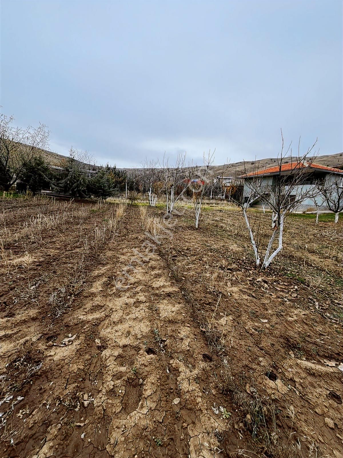 Polatlı Kuşçu Mah.bir Fiyatına İki Pay Satılık Koop.hissesi - Görsel 2