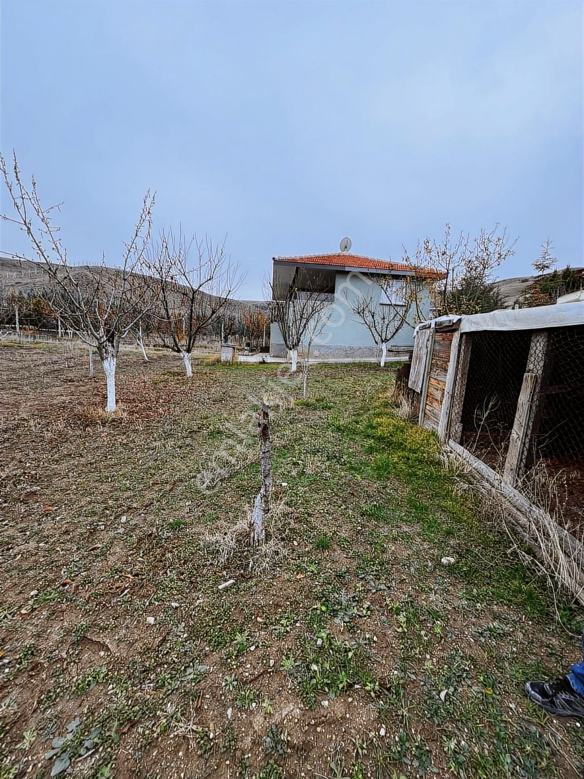 Polatlı Kuşçu Mah.bir Fiyatına İki Pay Satılık Koop.hissesi