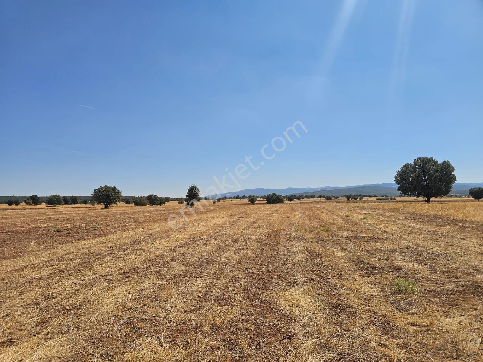 Uşak Banaz Susuzda Araç Takasi Olur