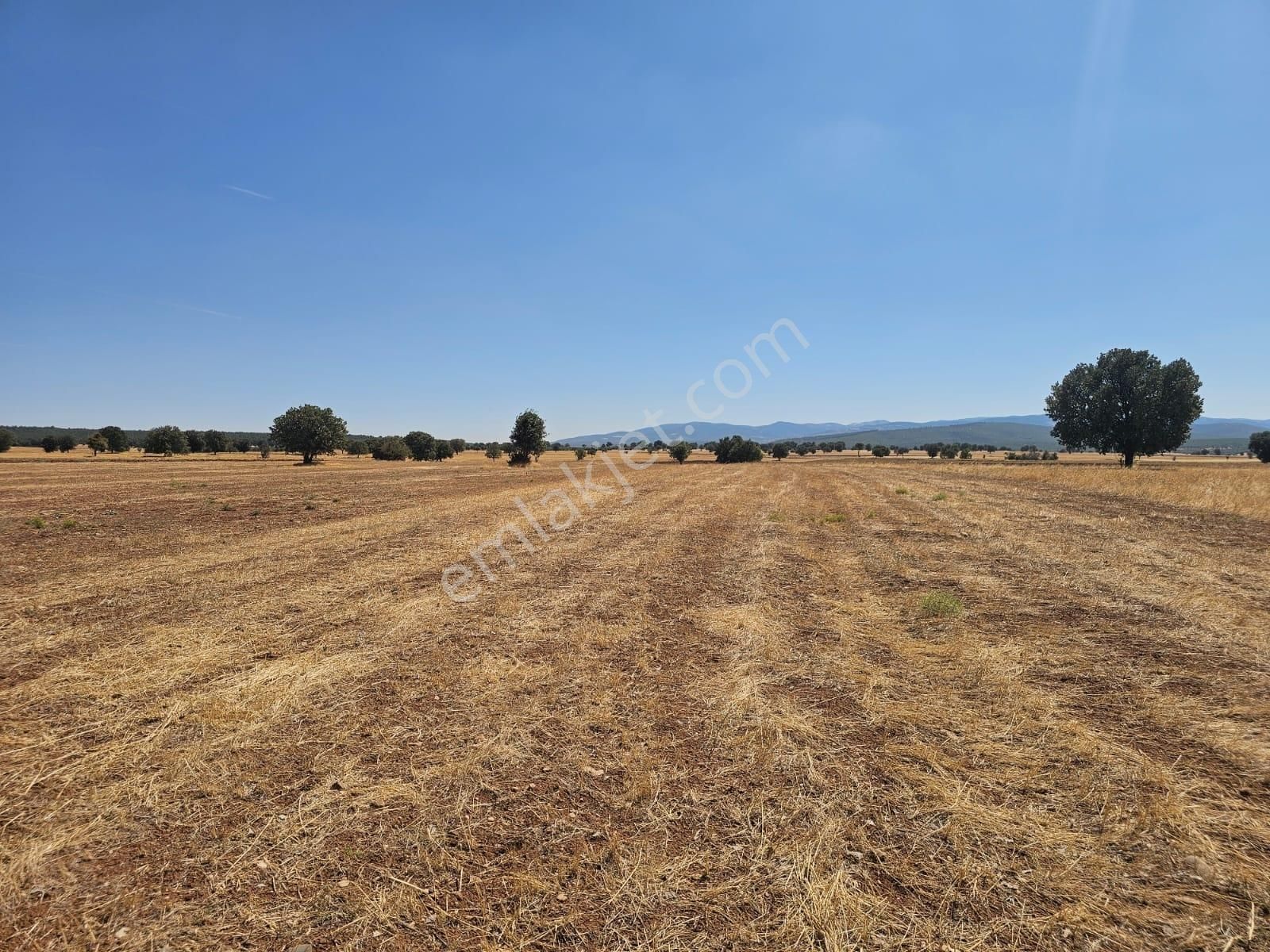 Uşak Banaz Susuzda Araç Takasi Olur - Görsel 12