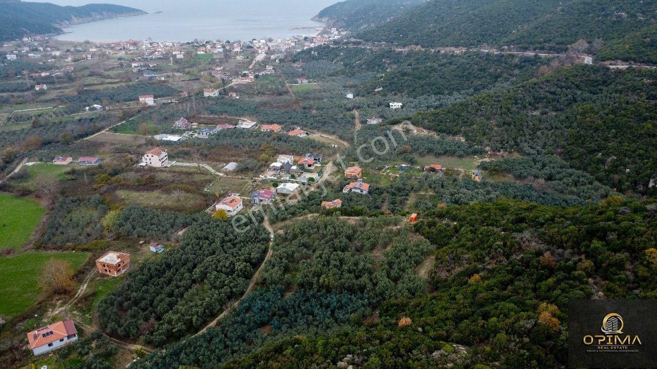 Opıma Emlaktan Doğanlarda Yola Cephe Satılık Zeytinlik - Görsel 7