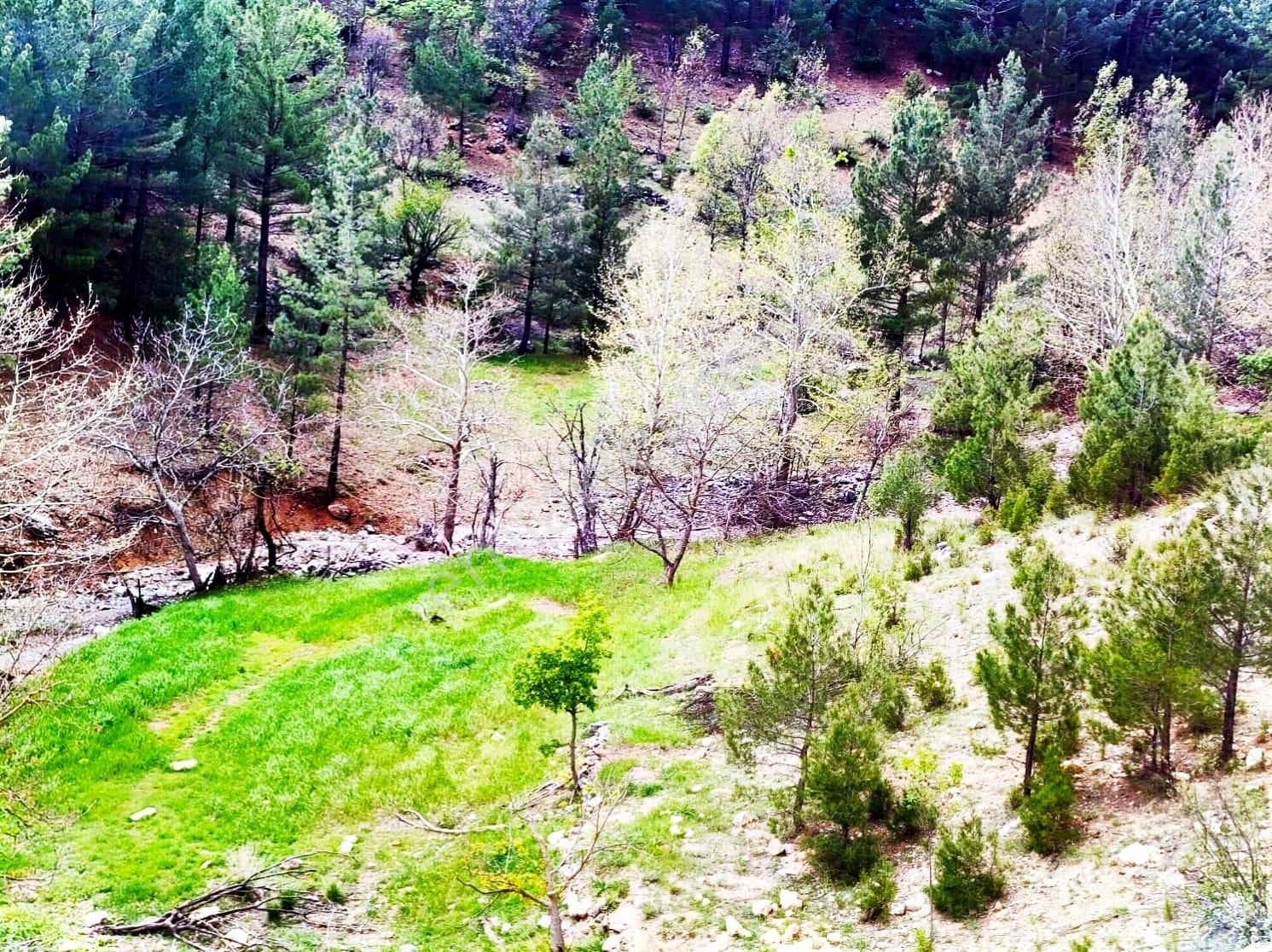 Kar Emlaktan Yenikonacık Kömenlik Mevkiinde 400 M2 Satılık Arsa - Görsel 4