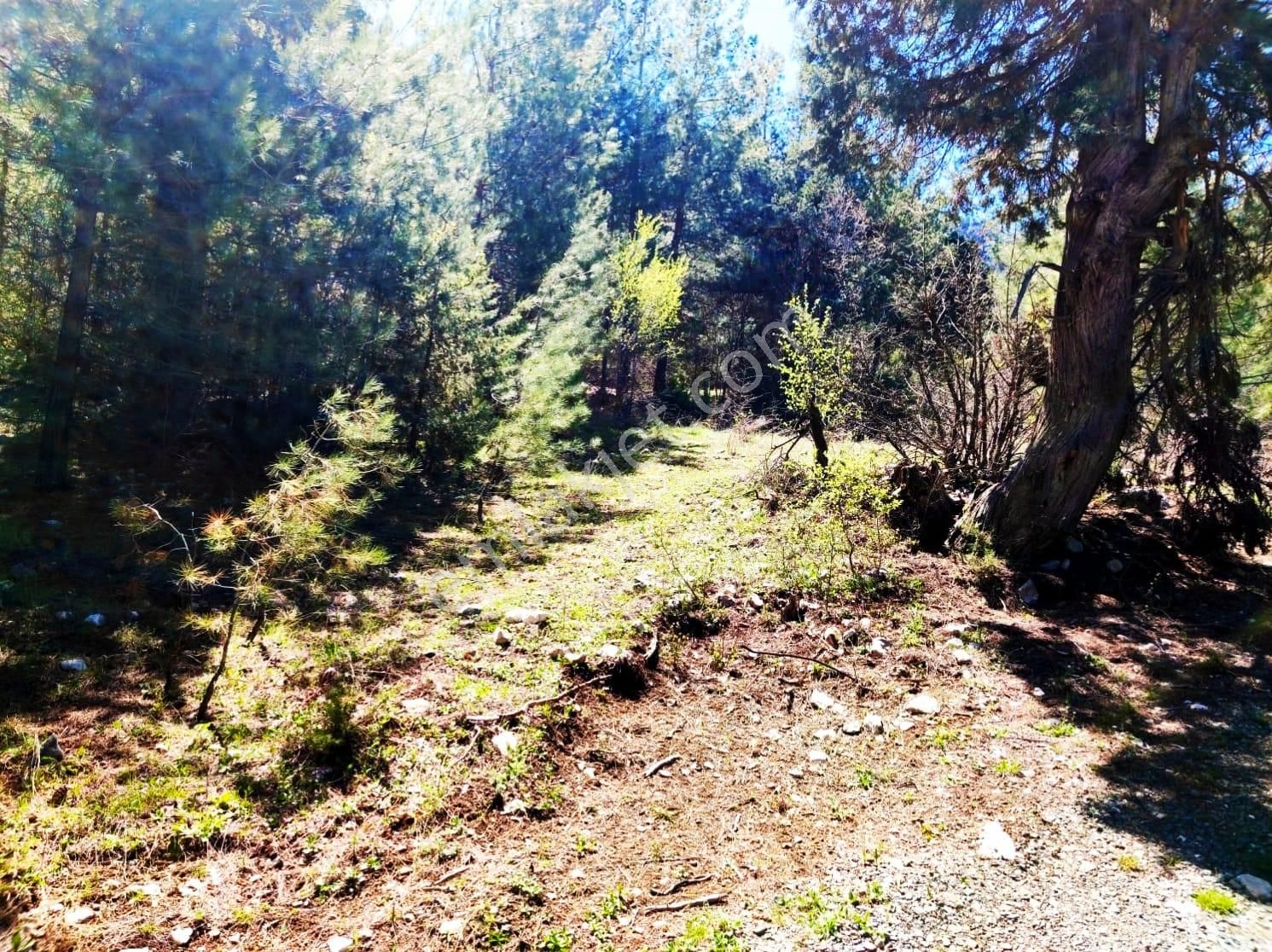 Kar Emlaktan Eskikonackta 240 M2 Satılık Arsa - Görsel 2