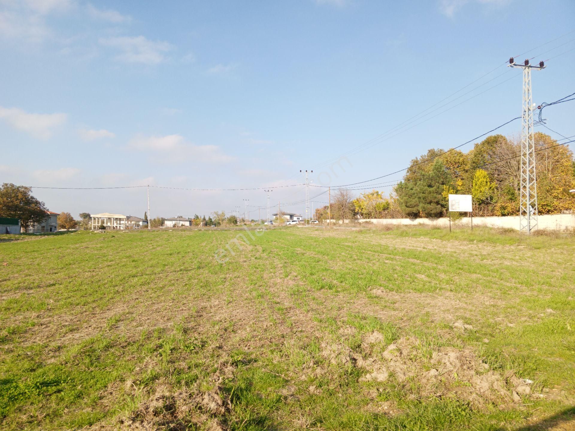 Ege Gayrimenkul'den Büyükçavuşlu'da Satılık Parseller - Görsel 13