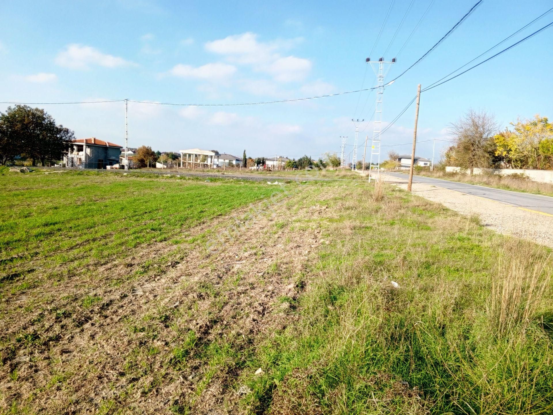 Ege Gayrimenkul'den Büyükçavuşlu'da Satılık Parseller - Görsel 4