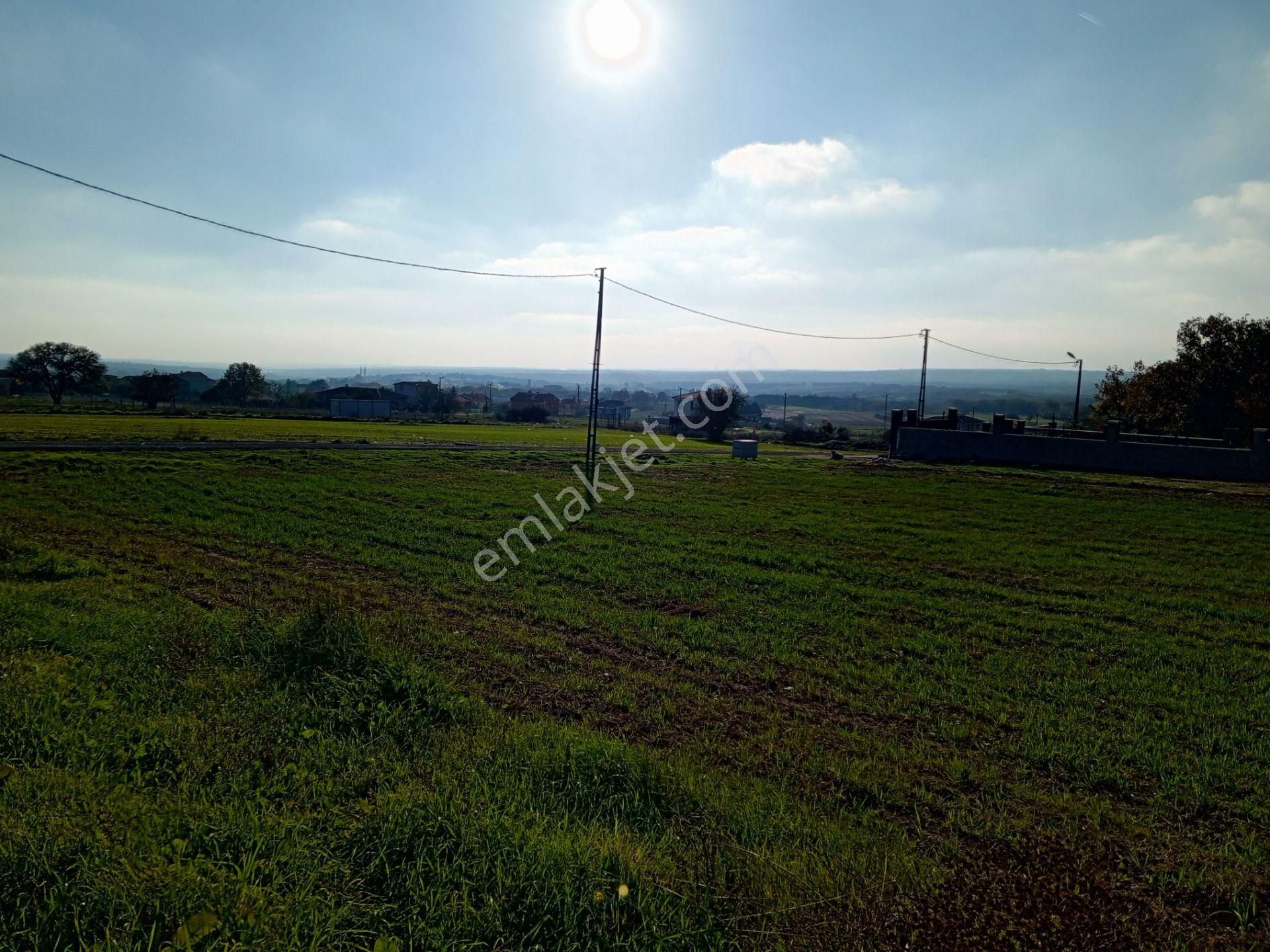 Ege Gayrimenkul'den Büyükçavuşlu'da Satılık Parseller - Görsel 2