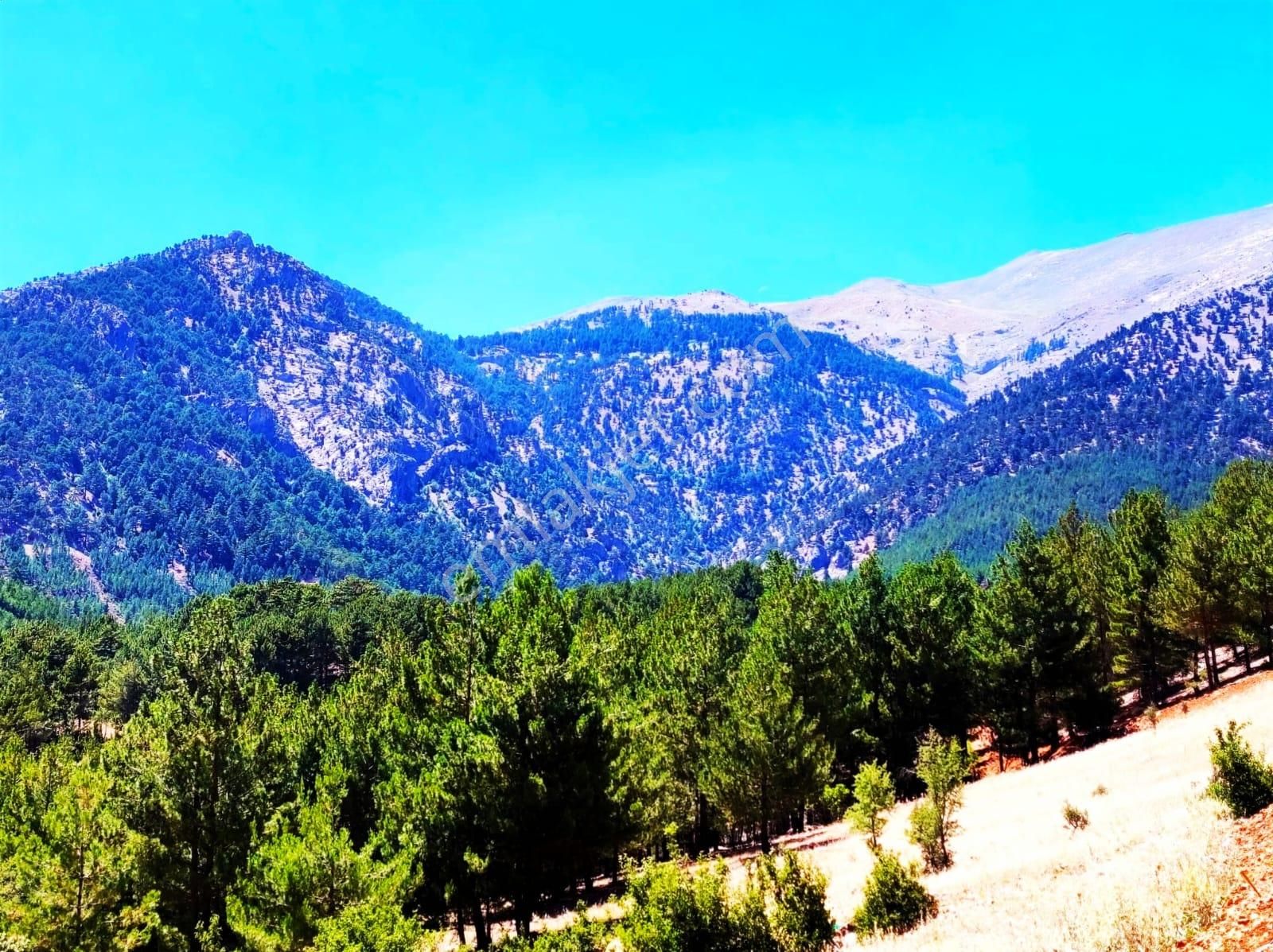 Kar Emlaktan Yenikonacık Efes Sitesi Yanı 500 - Görsel 27