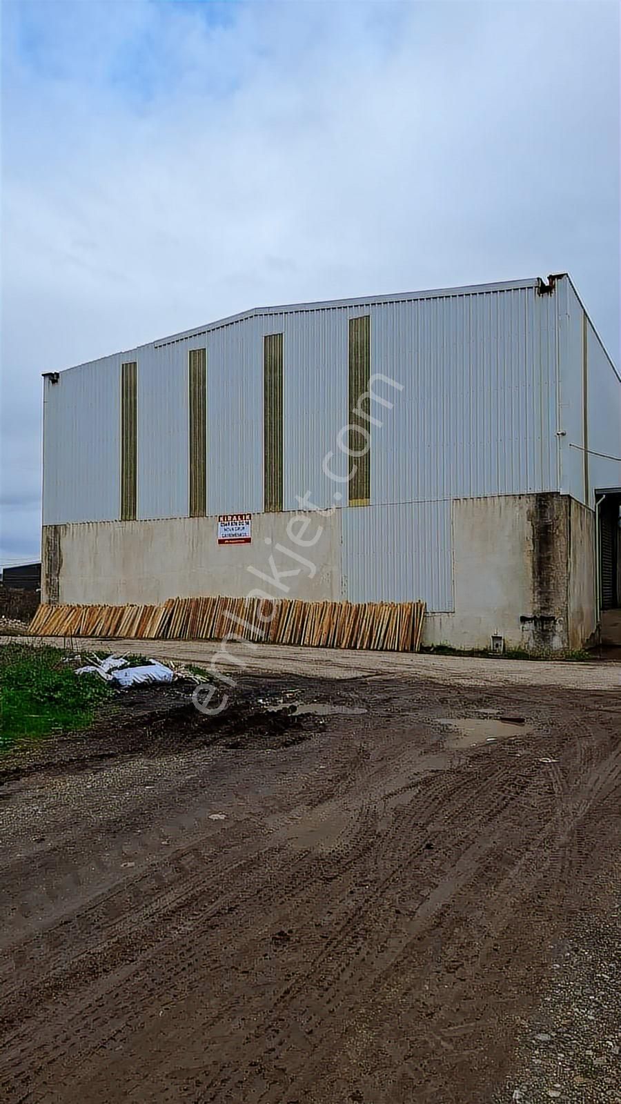 Nova Grup Gayrimenkul- Kiralık 800m2 Depo-işyeri - Görsel 2
