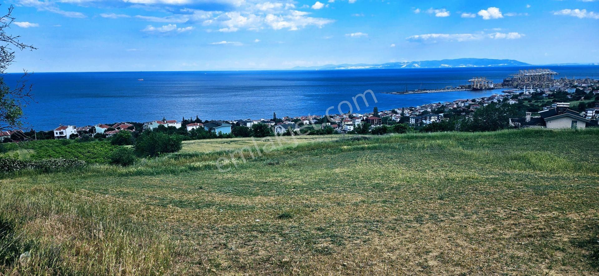 Harika Deniz Ve Doğa Manzaralı 42 Adet 2+1 Daire Projesine Uygun Kooparetif Ve Site Yapımına Uygun - Görsel 9