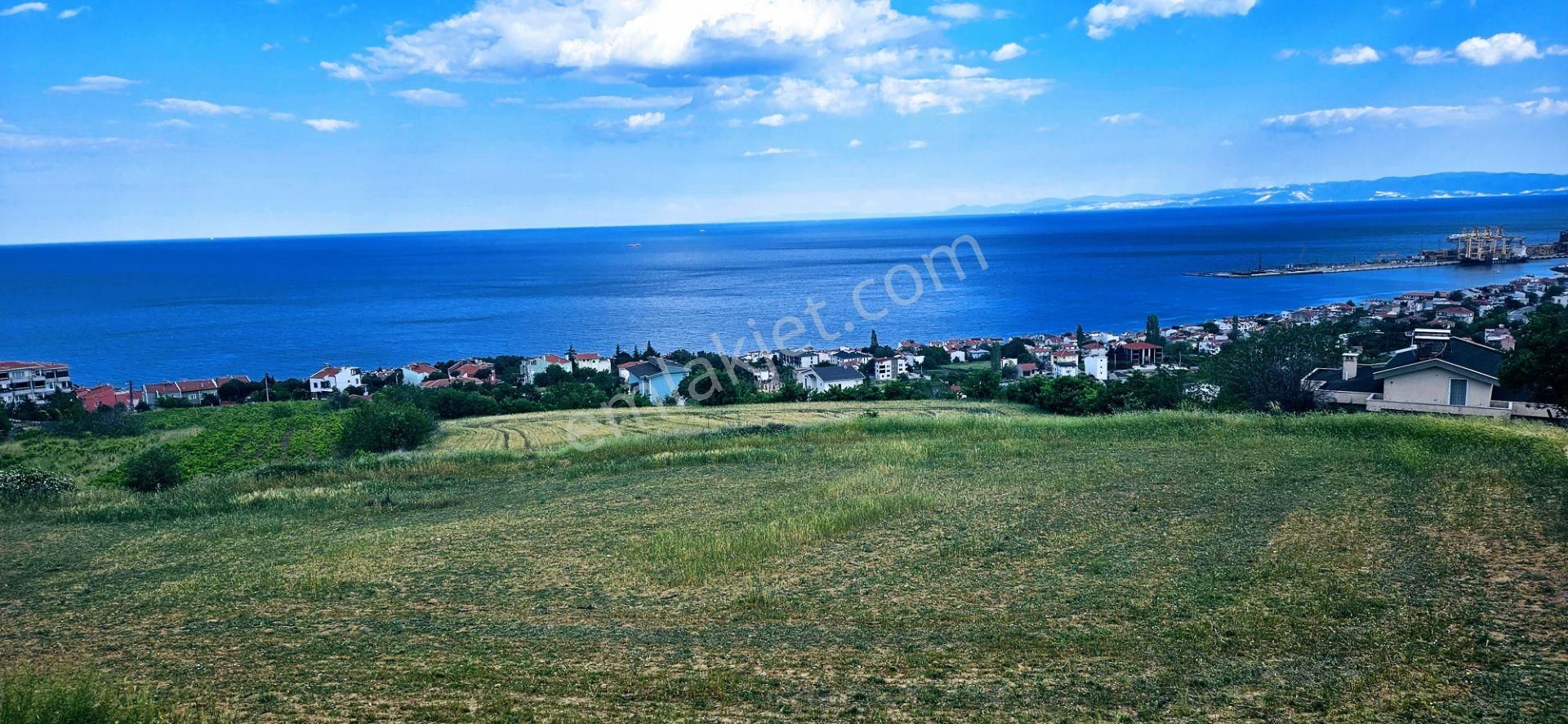 Harika Deniz Ve Doğa Manzaralı 42 Adet 2+1 Daire Projesine Uygun Kooparetif Ve Site Yapımına Uygun - Görsel 20