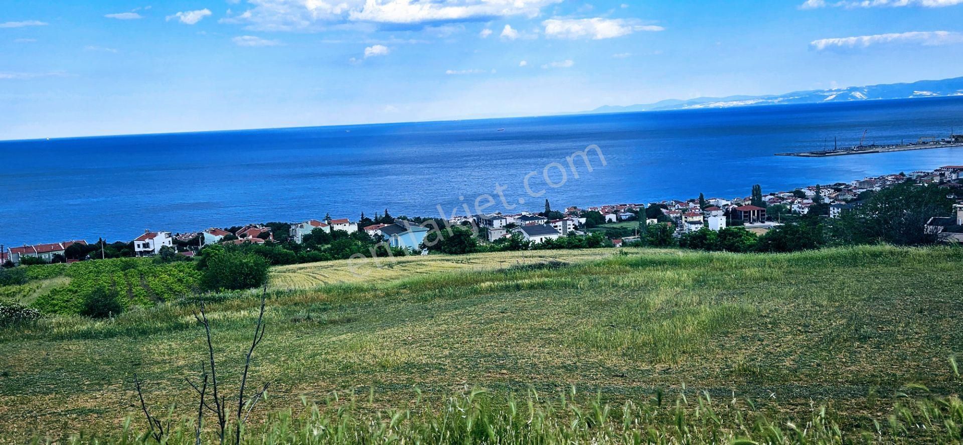 Harika Deniz Ve Doğa Manzaralı 42 Adet 2+1 Daire Projesine Uygun Kooparetif Ve Site Yapımına Uygun - Görsel 24