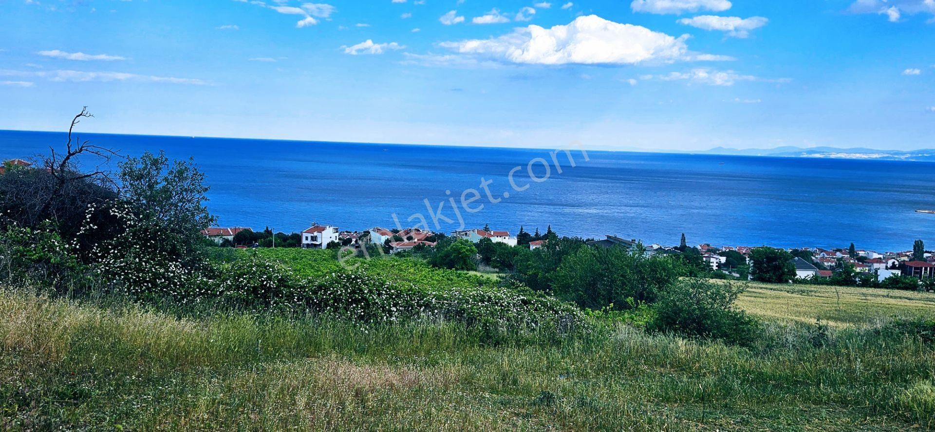 Harika Deniz Ve Doğa Manzaralı 42 Adet 2+1 Daire Projesine Uygun Kooparetif Ve Site Yapımına Uygun - Görsel 12