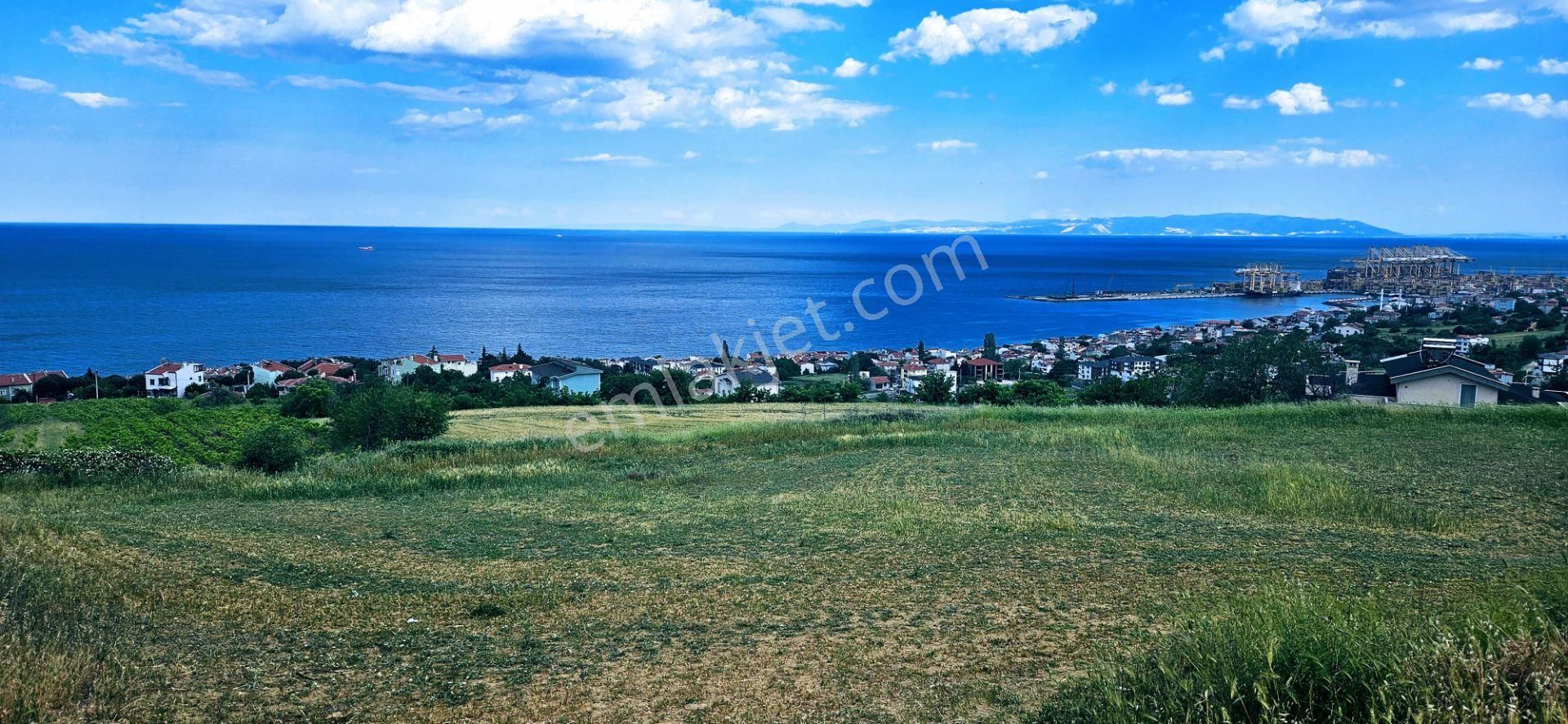 Harika Deniz Ve Doğa Manzaralı 42 Adet 2+1 Daire Projesine Uygun Kooparetif Ve Site Yapımına Uygun - Görsel 7