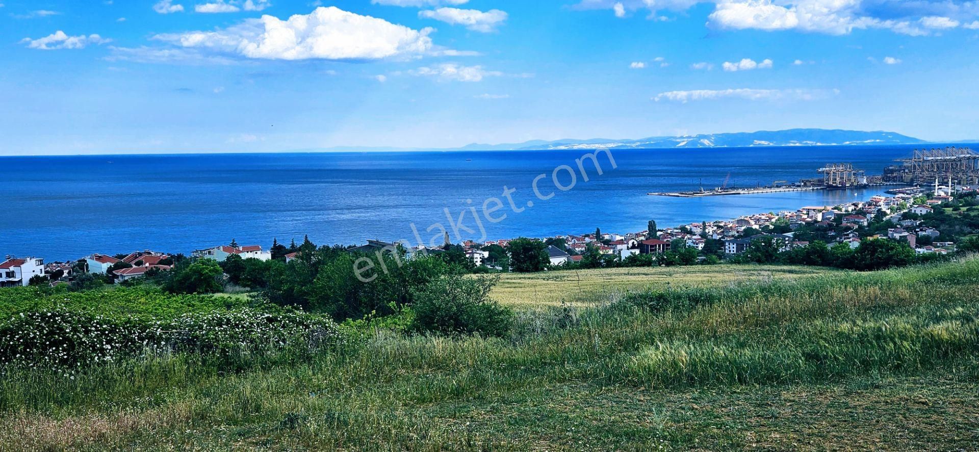 Harika Deniz Ve Doğa Manzaralı 42 Adet 2+1 Daire Projesine Uygun Kooparetif Ve Site Yapımına Uygun - Görsel 5