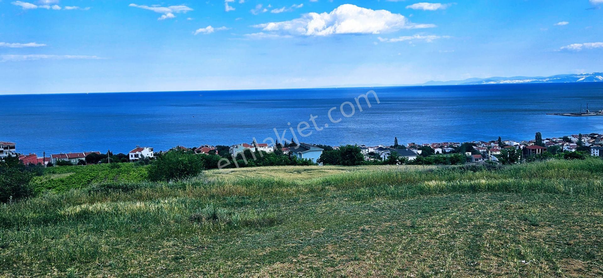 Harika Deniz Ve Doğa Manzaralı 42 Adet 2+1 Daire Projesine Uygun Kooparetif Ve Site Yapımına Uygun - Görsel 23