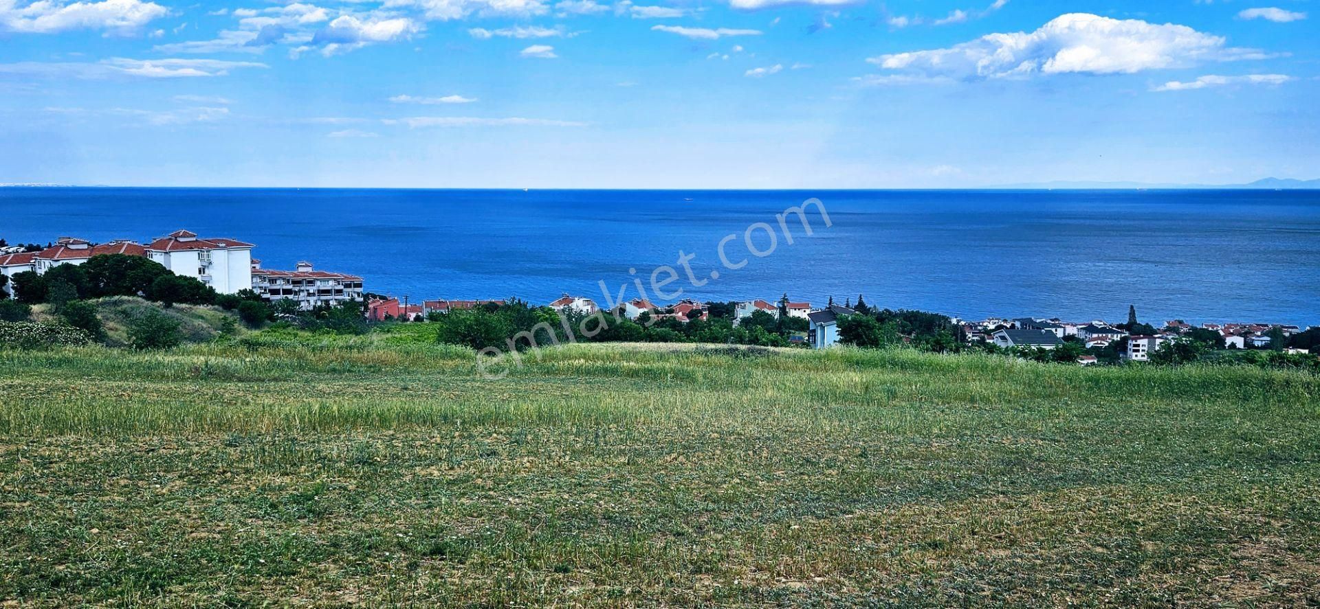 Harika Deniz Ve Doğa Manzaralı 42 Adet 2+1 Daire Projesine Uygun Kooparetif Ve Site Yapımına Uygun - Görsel 11