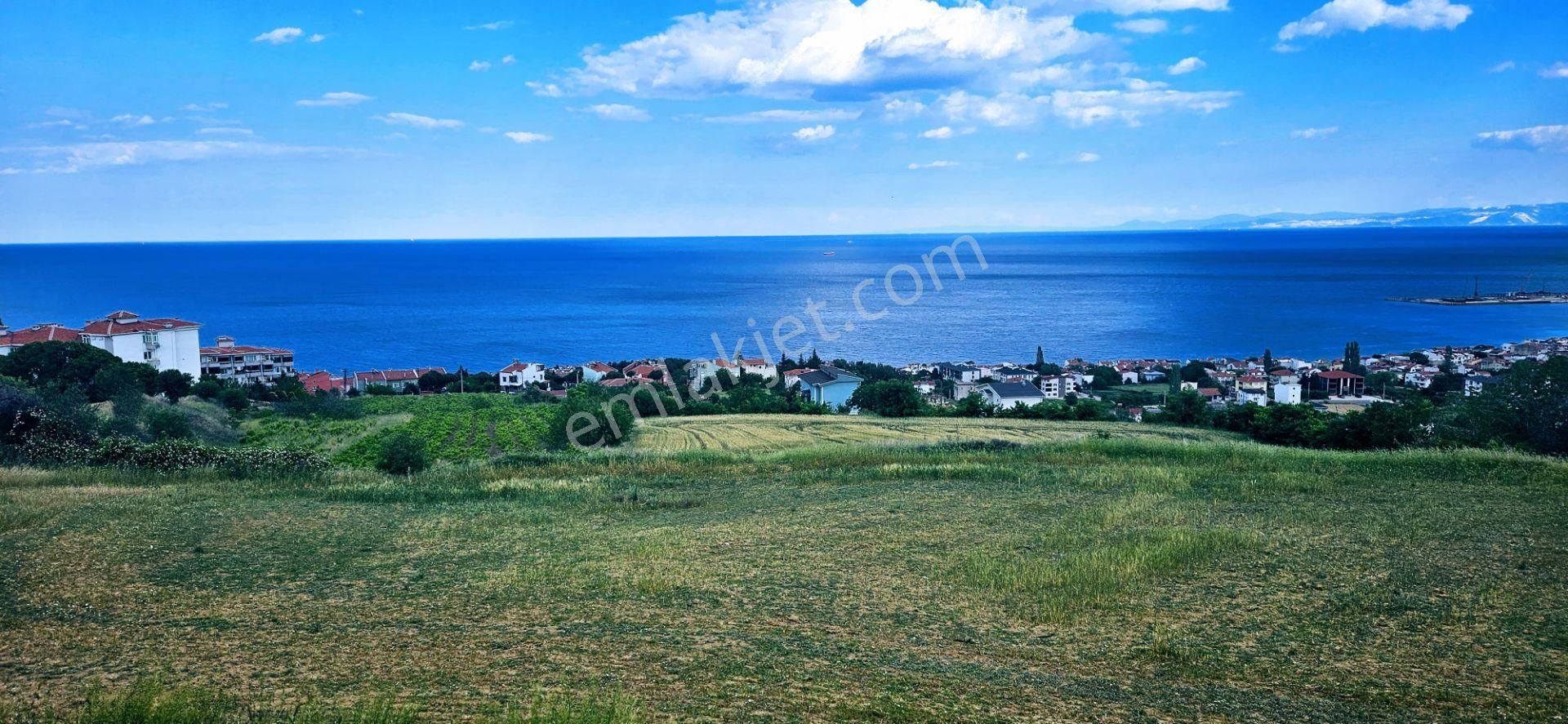 Harika Deniz Ve Doğa Manzaralı 42 Adet 2+1 Daire Projesine Uygun Kooparetif Ve Site Yapımına Uygun - Görsel 6