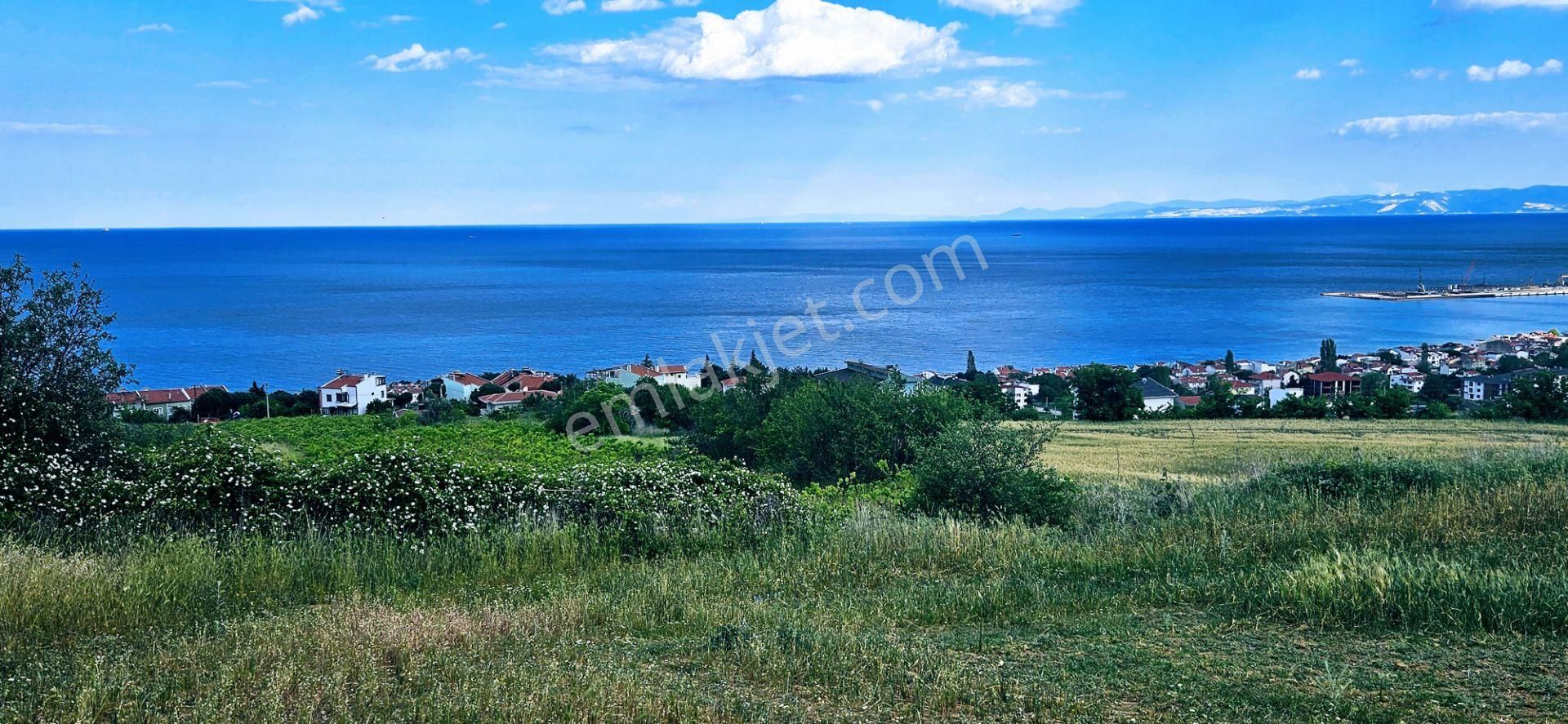 Harika Deniz Ve Doğa Manzaralı 42 Adet 2+1 Daire Projesine Uygun Kooparetif Ve Site Yapımına Uygun - Görsel 14