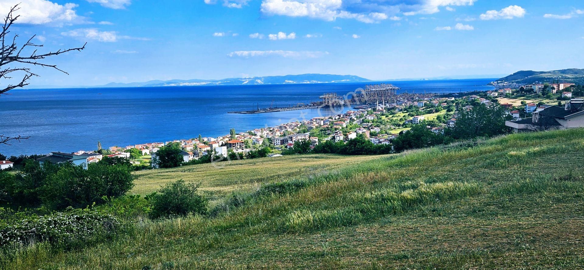 Harika Deniz Ve Doğa Manzaralı 42 Adet 2+1 Daire Projesine Uygun Kooparetif Ve Site Yapımına Uygun - Görsel 10