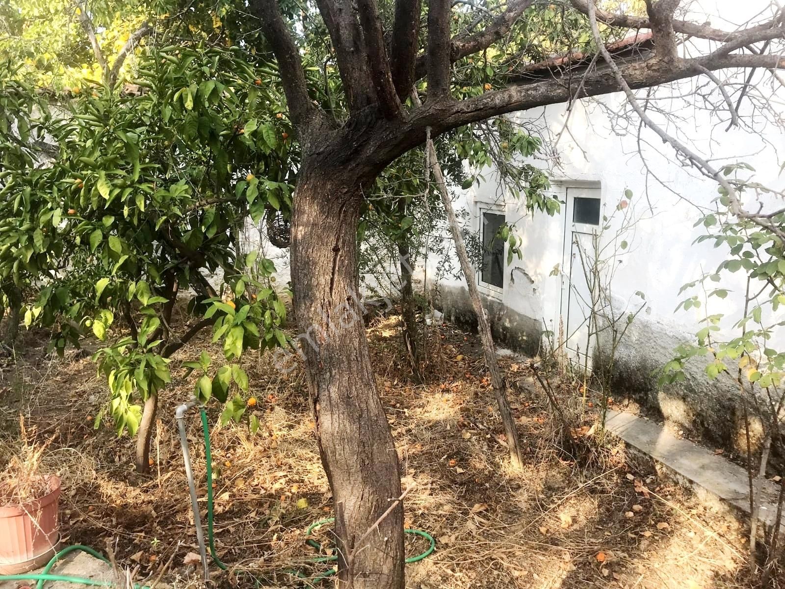 Burhaniye Yabancılar'da Geniş Bahçeli 1 Ev Fiyatına 2 Ad.köy Evi - Görsel 2