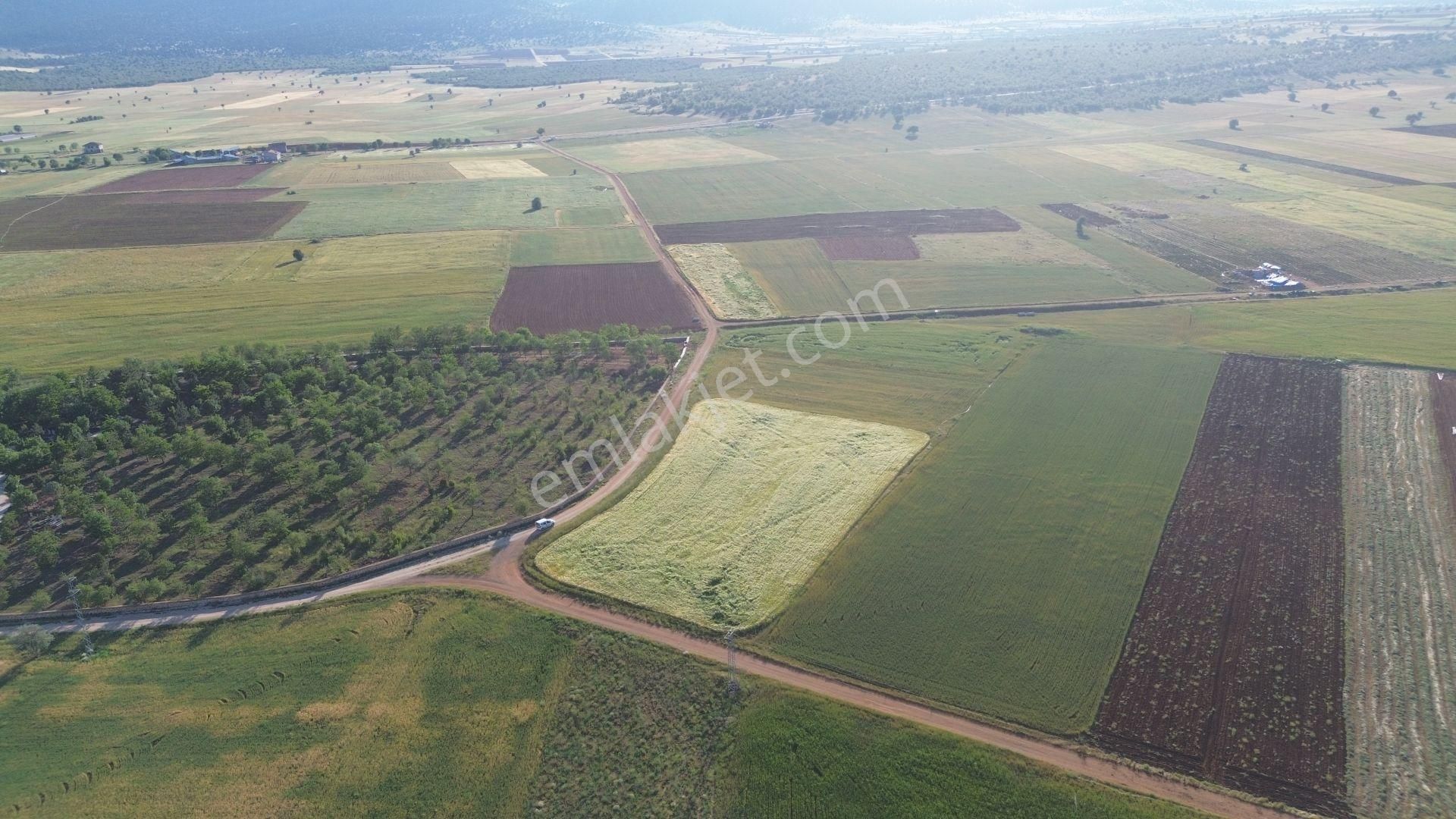Akören Karahüyük De 5.056 M2 Müstakil Tapulu Arazi - Görsel 2