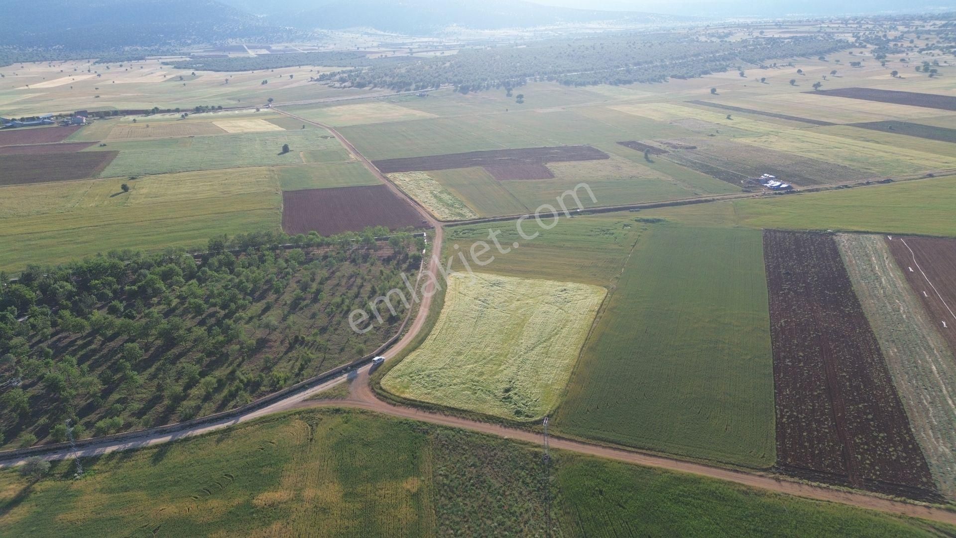 Akören Karahüyük De 5.056 M2 Müstakil Tapulu Arazi - Görsel 7