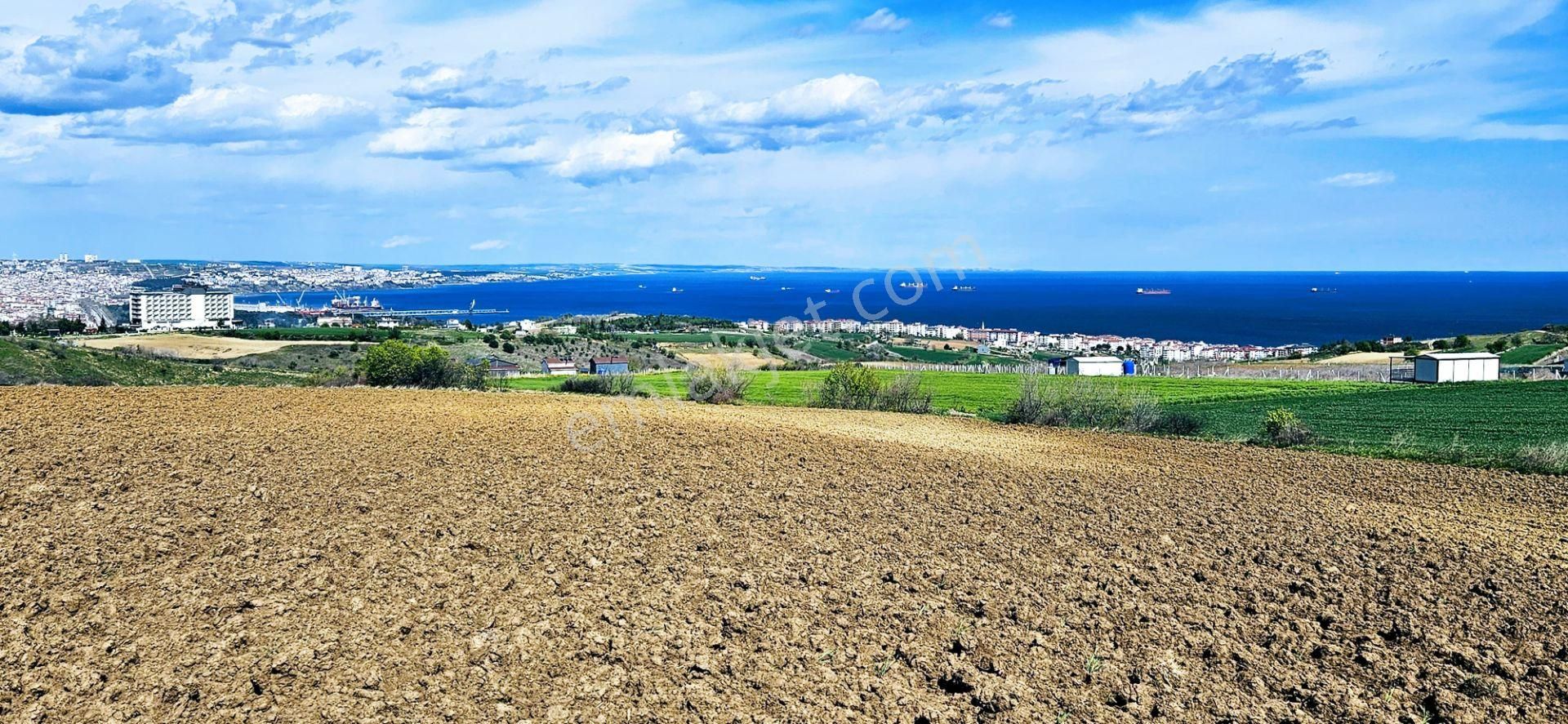 Muhteşem Deniz Doğa Ve Şehir Manzaralı 32 Adet Villa Projesine Uygun Fırsat Arazi - Görsel 3