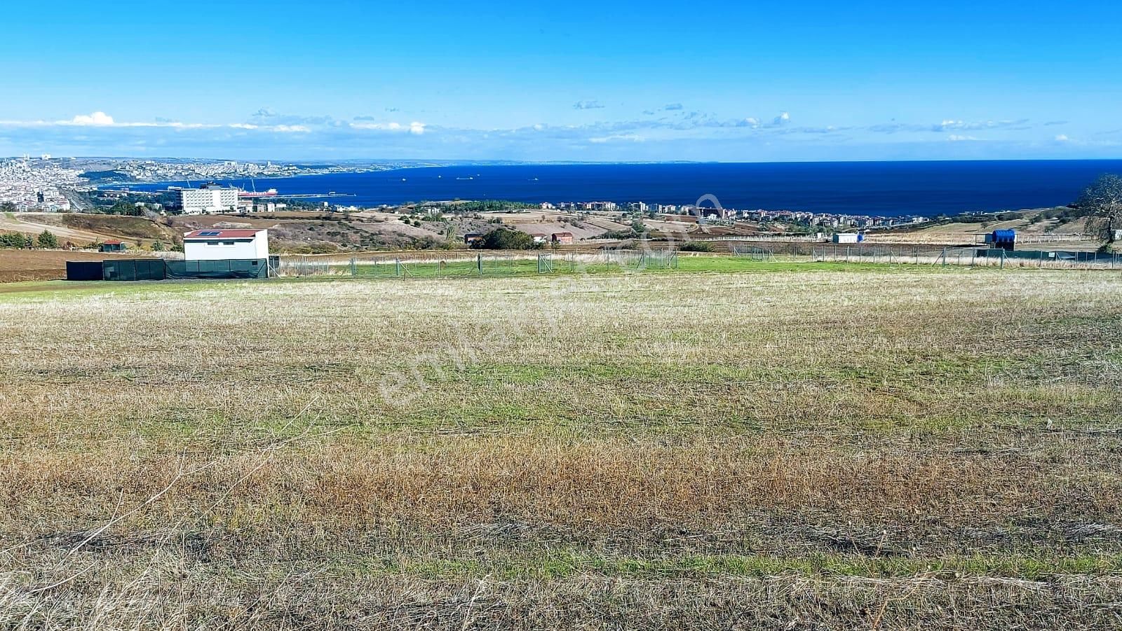 Muhteşem Deniz Doğa Ve Şehir Manzaralı 32 Adet Villa Projesine Uygun Fırsat Arazi - Görsel 10