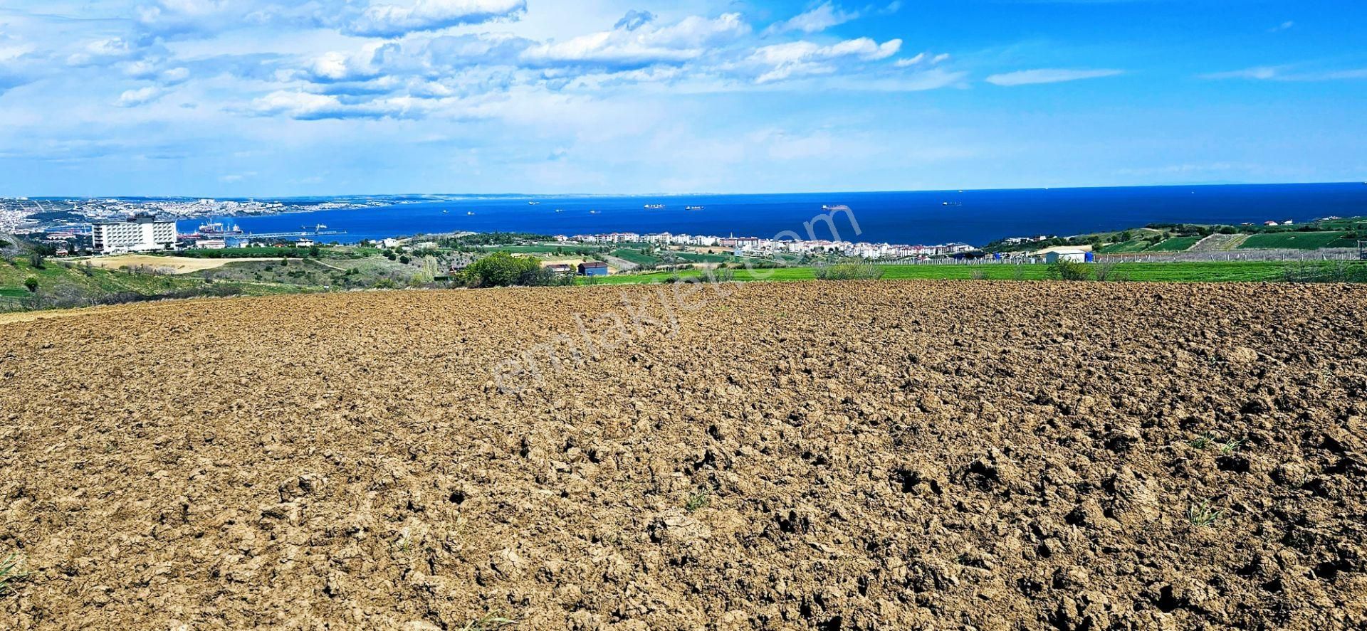 Muhteşem Deniz Doğa Ve Şehir Manzaralı 32 Adet Villa Projesine Uygun Fırsat Arazi - Görsel 28