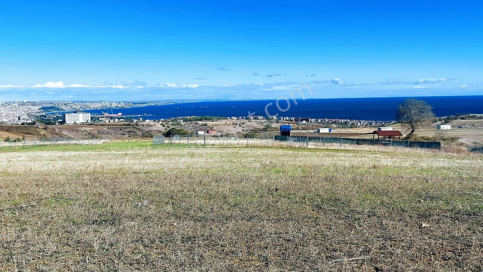 Muhteşem Deniz Doğa Ve Şehir Manzaralı 32 Adet Villa Projesine Uygun Fırsat Arazi