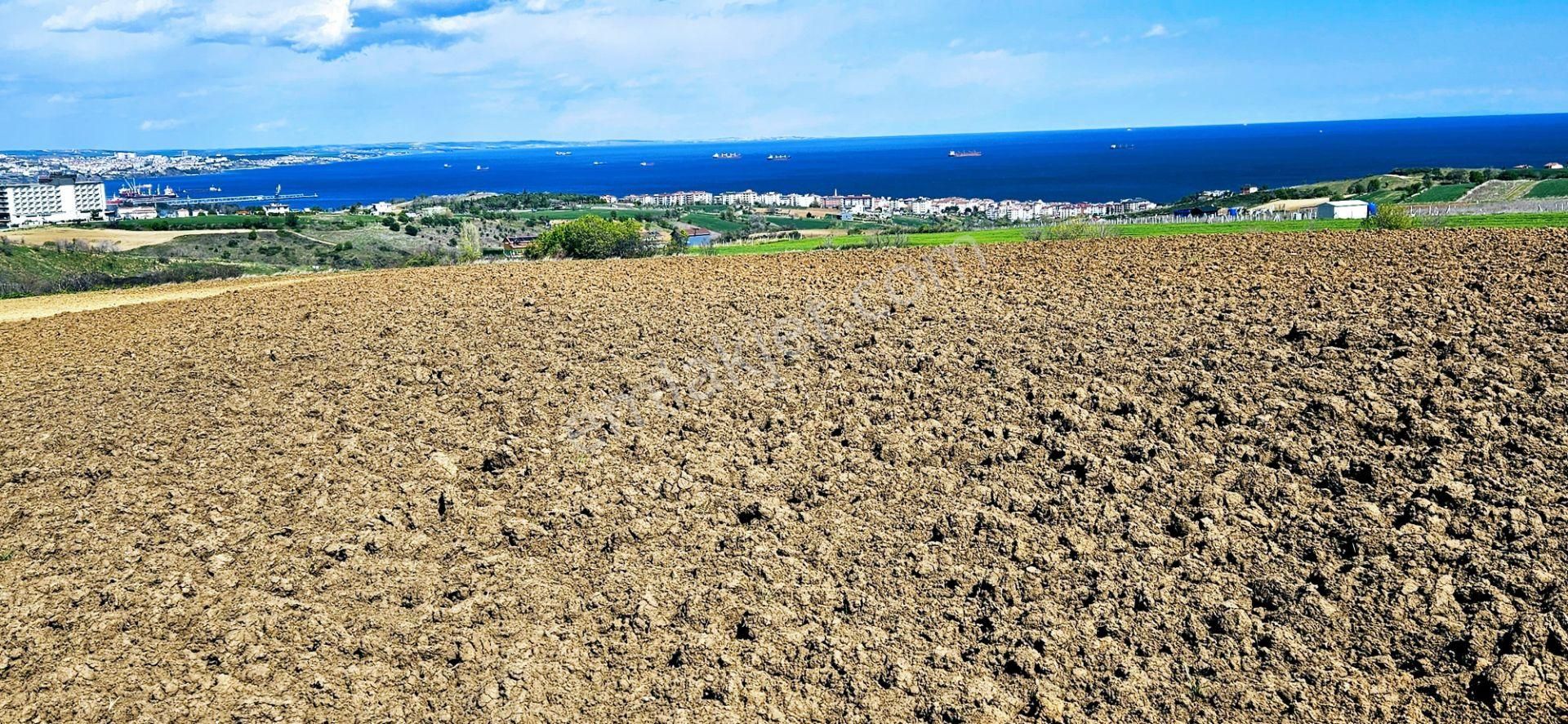 Muhteşem Deniz Doğa Ve Şehir Manzaralı 32 Adet Villa Projesine Uygun Fırsat Arazi - Görsel 18