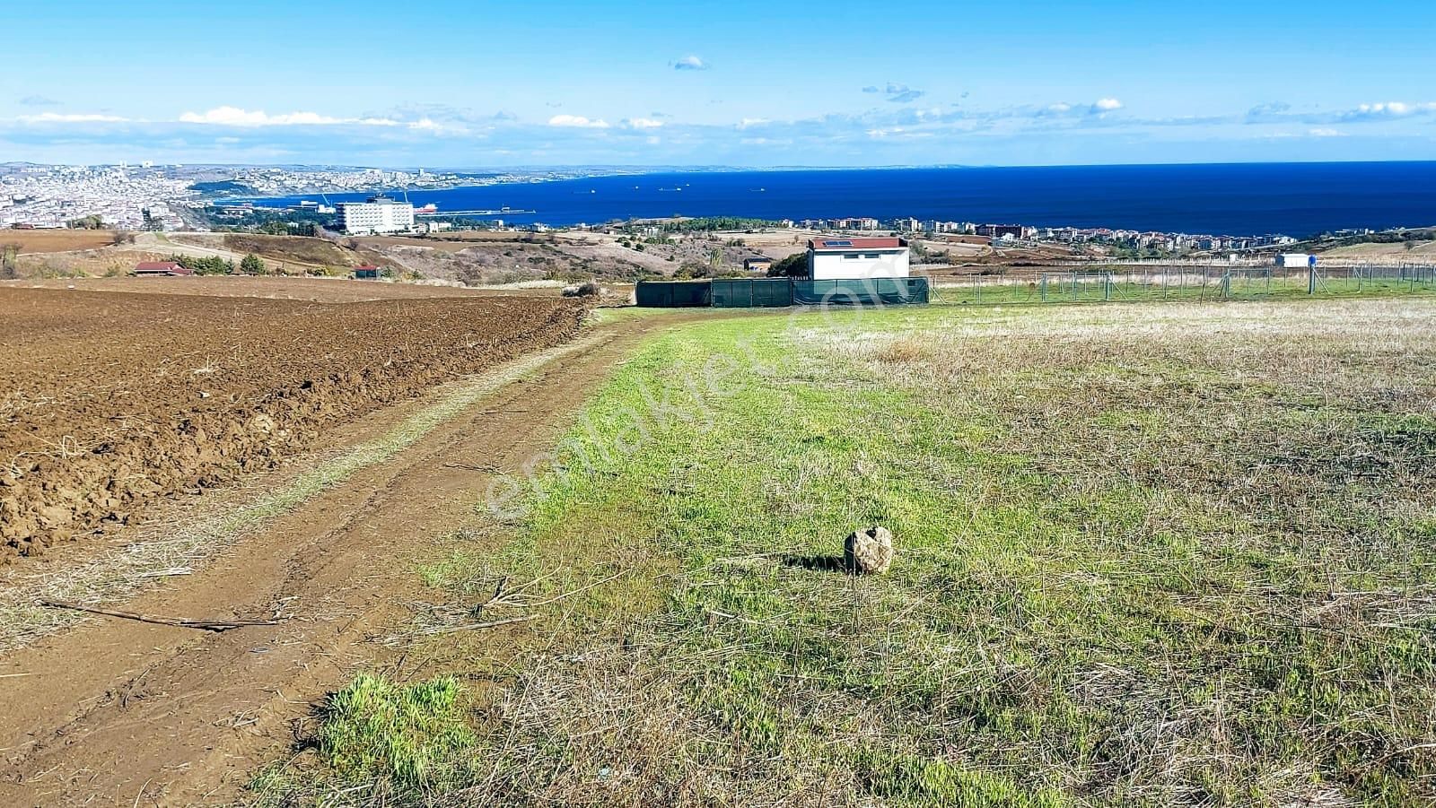 Muhteşem Deniz Doğa Ve Şehir Manzaralı 32 Adet Villa Projesine Uygun Fırsat Arazi - Görsel 14