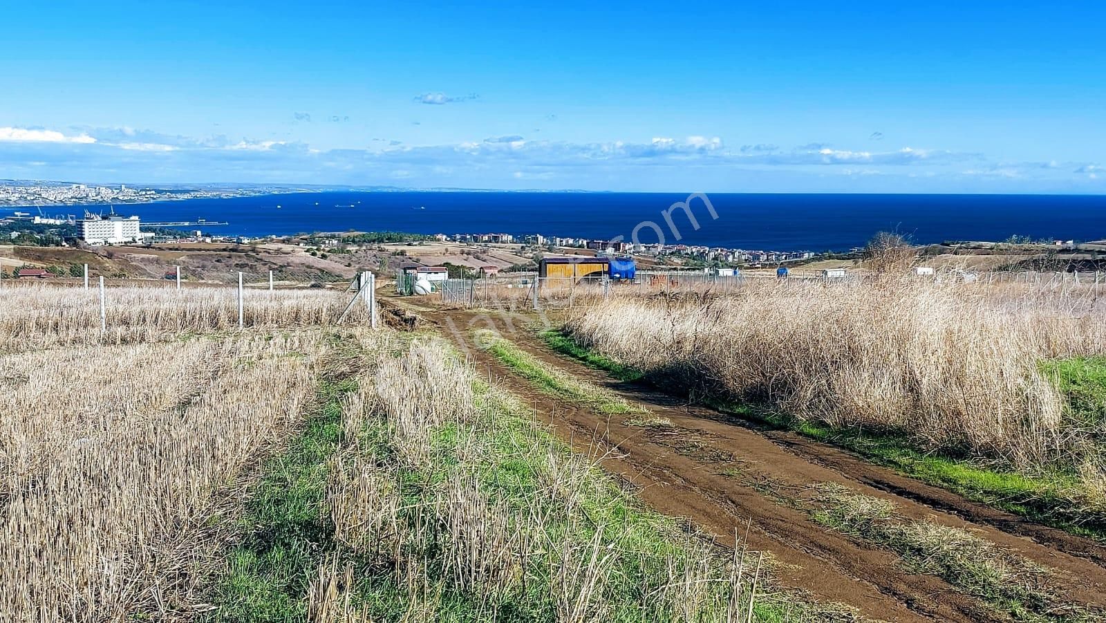 Muhteşem Deniz Doğa Ve Şehir Manzaralı 32 Adet Villa Projesine Uygun Fırsat Arazi - Görsel 8