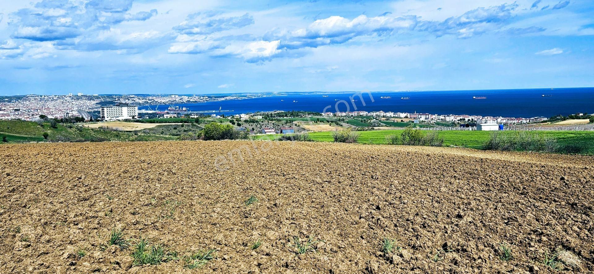 Muhteşem Deniz Doğa Ve Şehir Manzaralı 32 Adet Villa Projesine Uygun Fırsat Arazi - Görsel 5