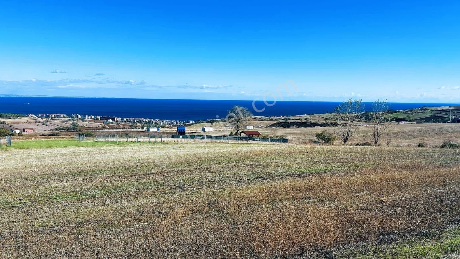 Muhteşem Deniz Doğa Ve Şehir Manzaralı 32 Adet Villa Projesine Uygun Fırsat Arazi - Görsel 13