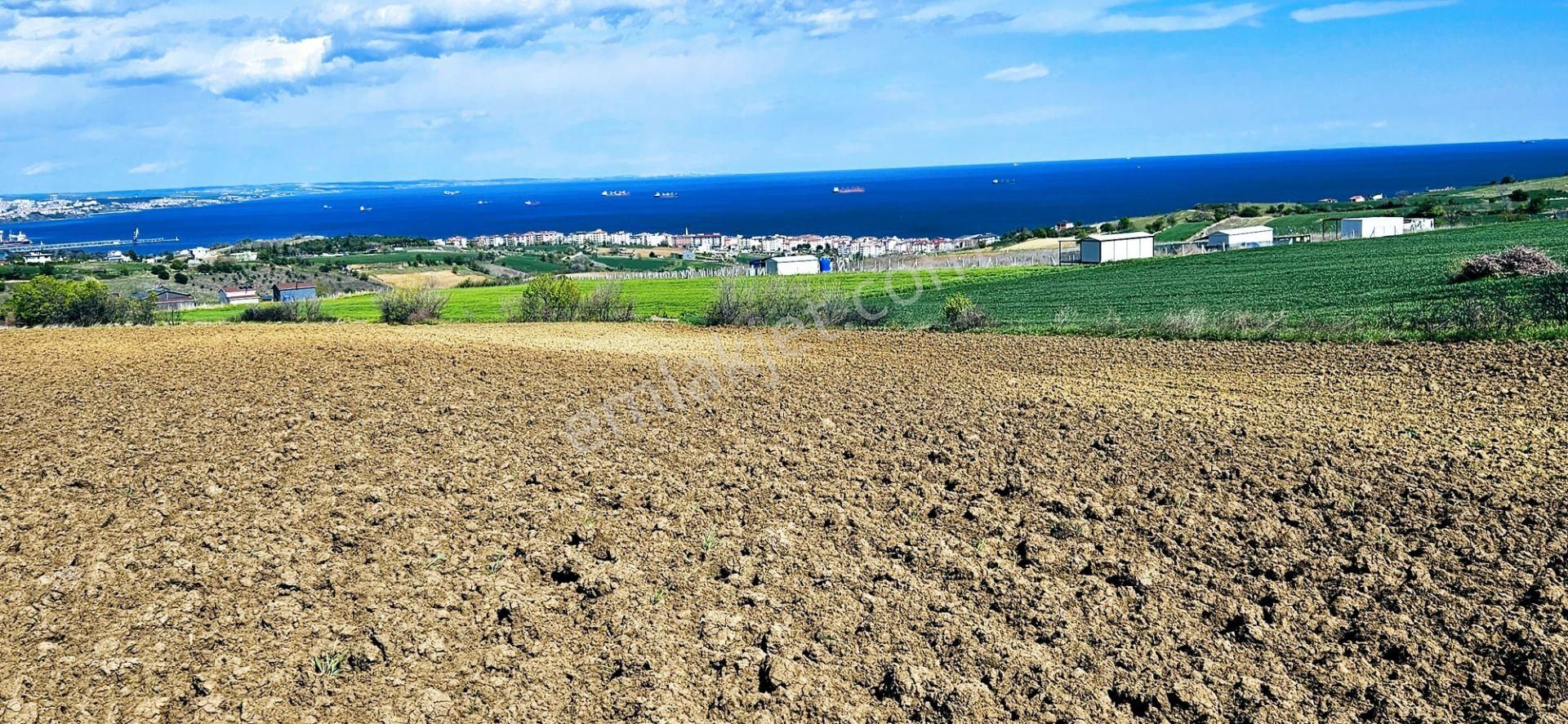 Muhteşem Deniz Doğa Ve Şehir Manzaralı 32 Adet Villa Projesine Uygun Fırsat Arazi - Görsel 16