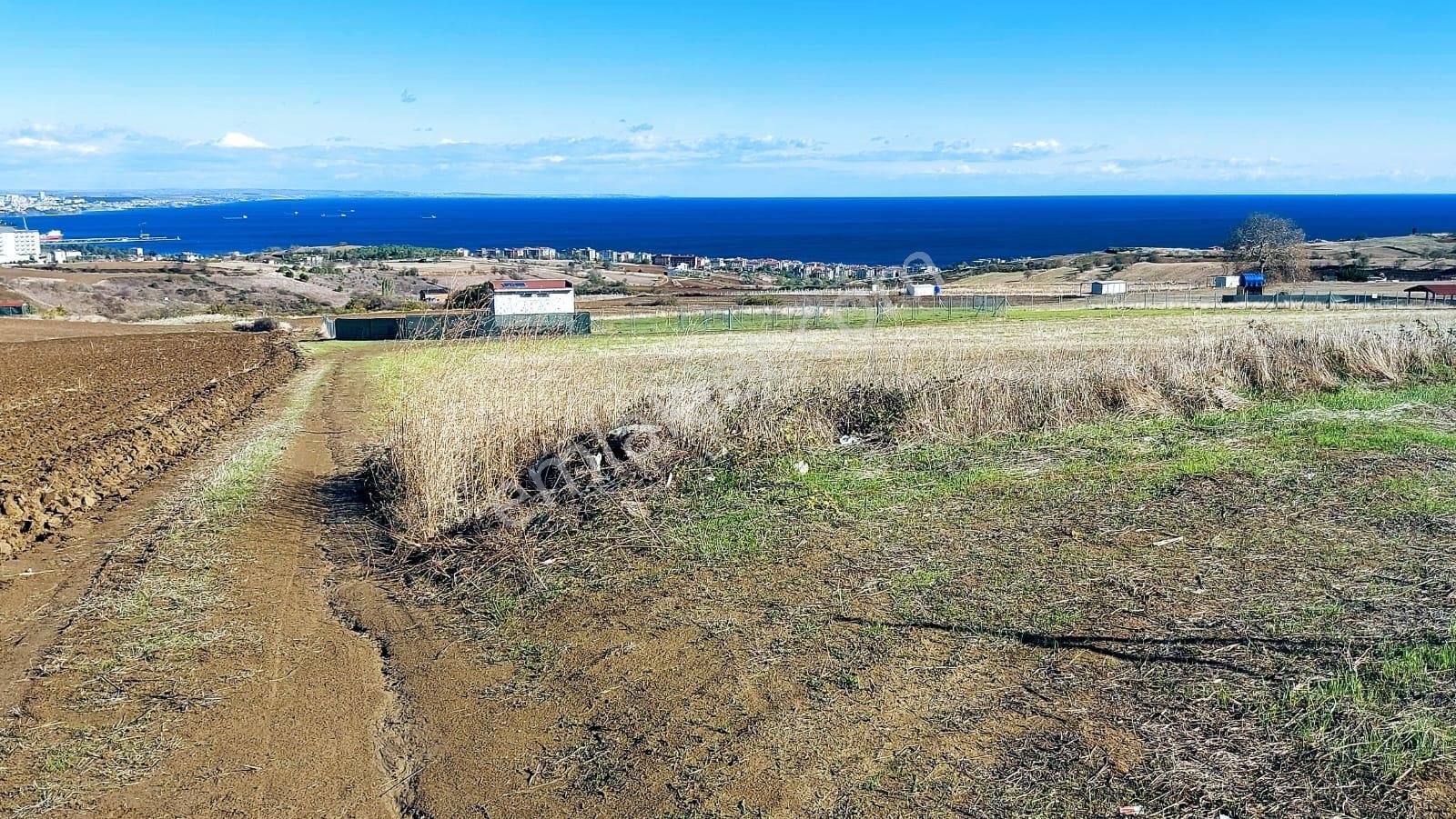 Muhteşem Deniz Doğa Ve Şehir Manzaralı 32 Adet Villa Projesine Uygun Fırsat Arazi - Görsel 23