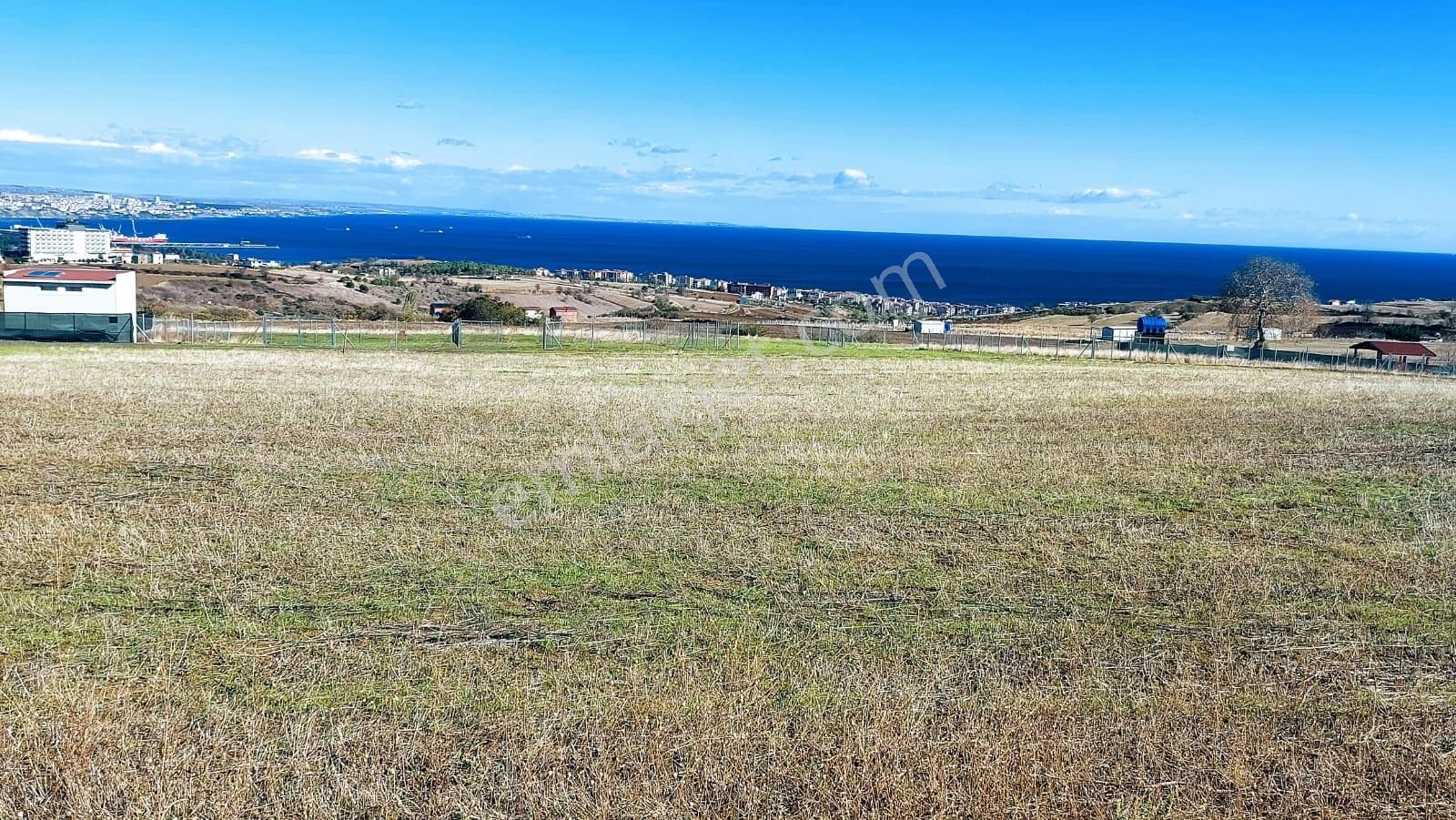 Muhteşem Deniz Doğa Ve Şehir Manzaralı 32 Adet Villa Projesine Uygun Fırsat Arazi - Görsel 6