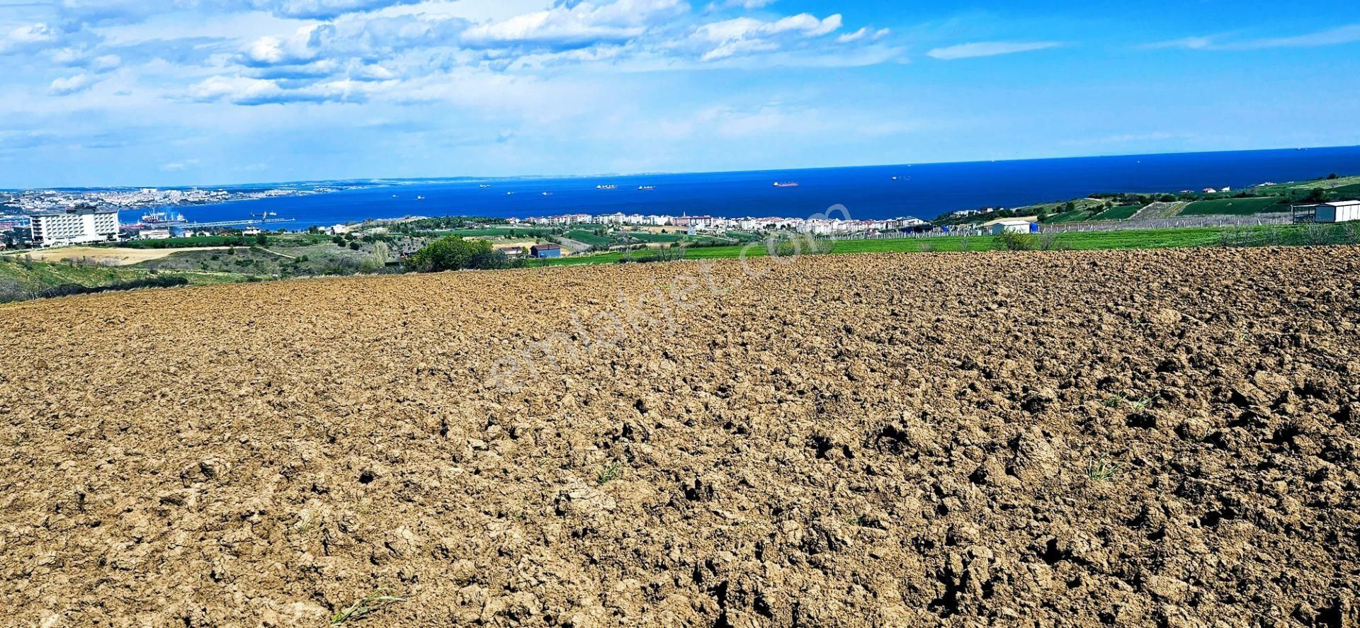 Muhteşem Deniz Doğa Ve Şehir Manzaralı 32 Adet Villa Projesine Uygun Fırsat Arazi - Görsel 7