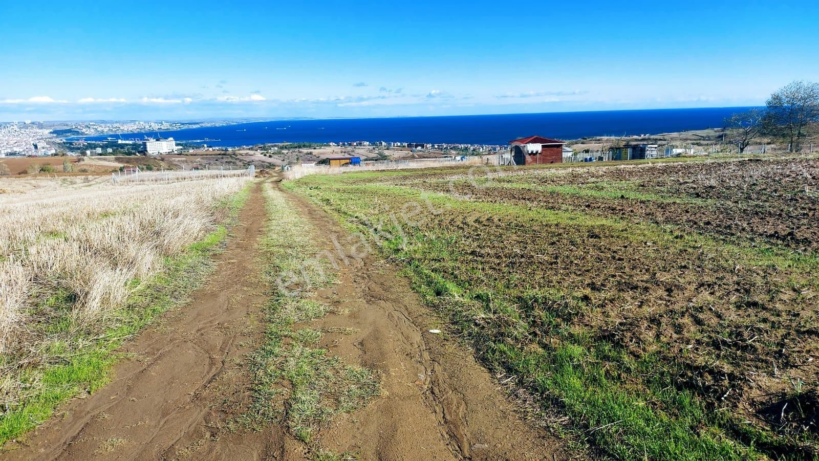 Muhteşem Deniz Doğa Ve Şehir Manzaralı 32 Adet Villa Projesine Uygun Fırsat Arazi - Görsel 9