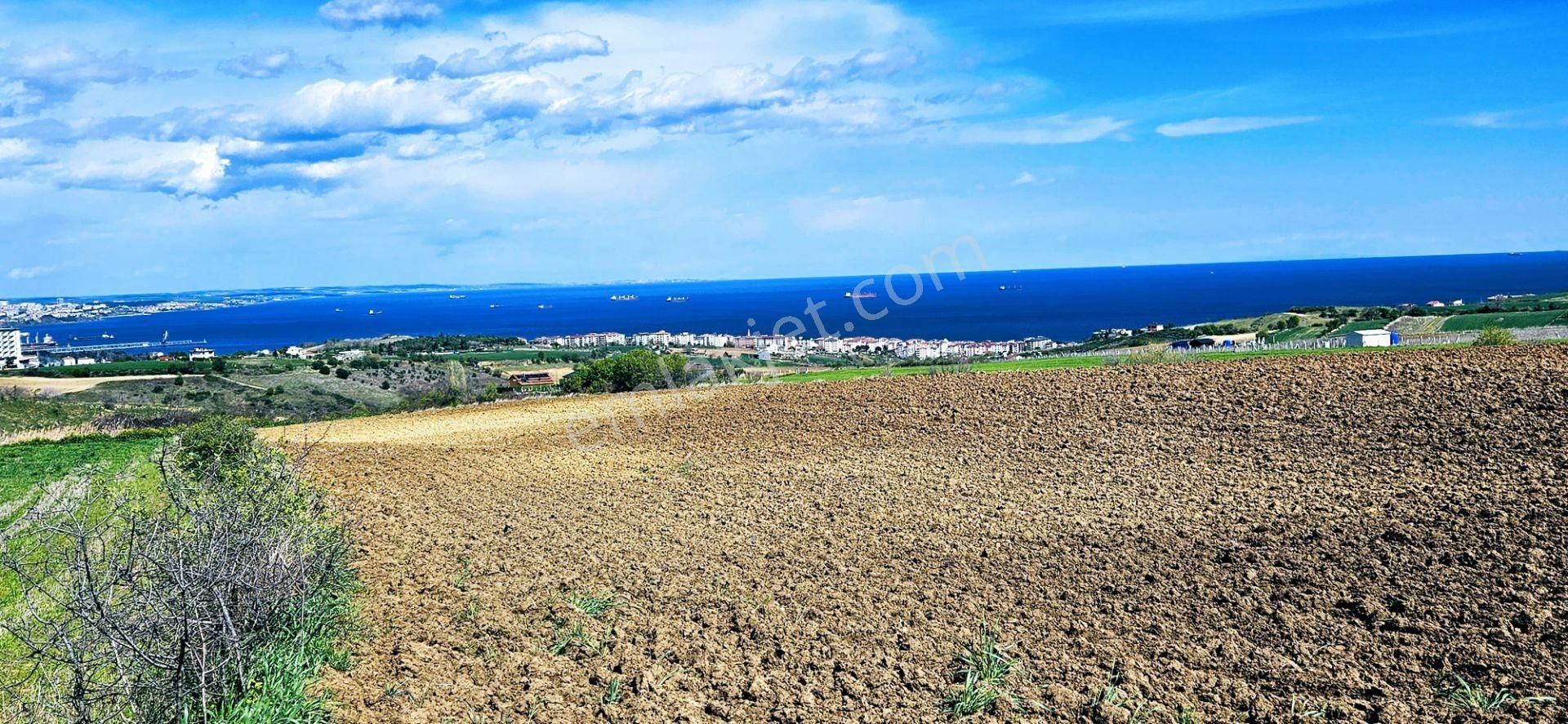 Muhteşem Deniz Doğa Ve Şehir Manzaralı 32 Adet Villa Projesine Uygun Fırsat Arazi - Görsel 27